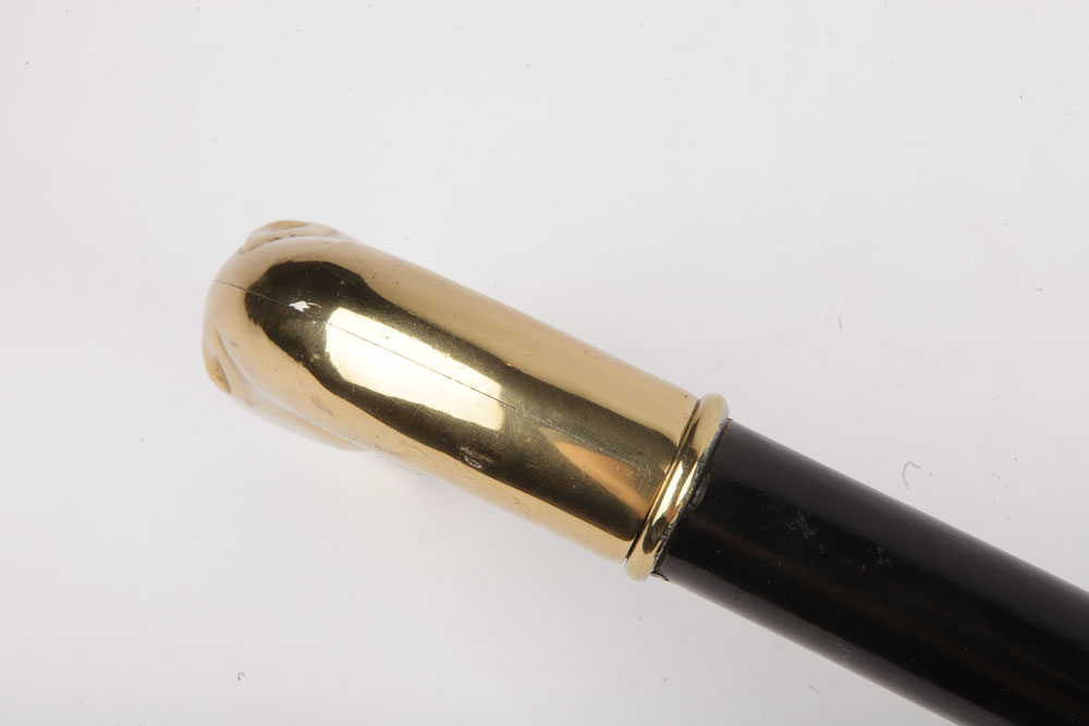 Parasol and Lacquered Brass Cane