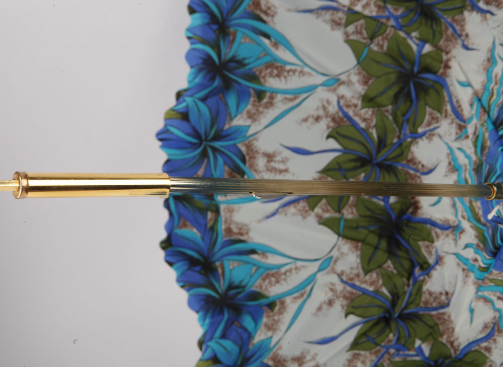 Parasol and Lacquered Brass Cane