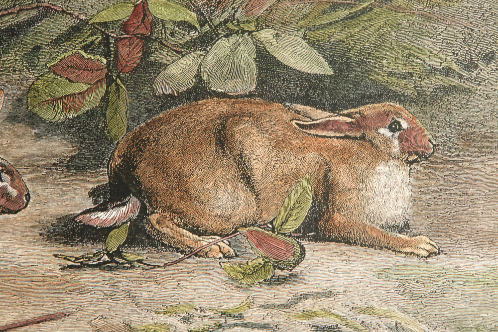 After Gaston Gebblert Hand-Colored Reproduction Print on Paper