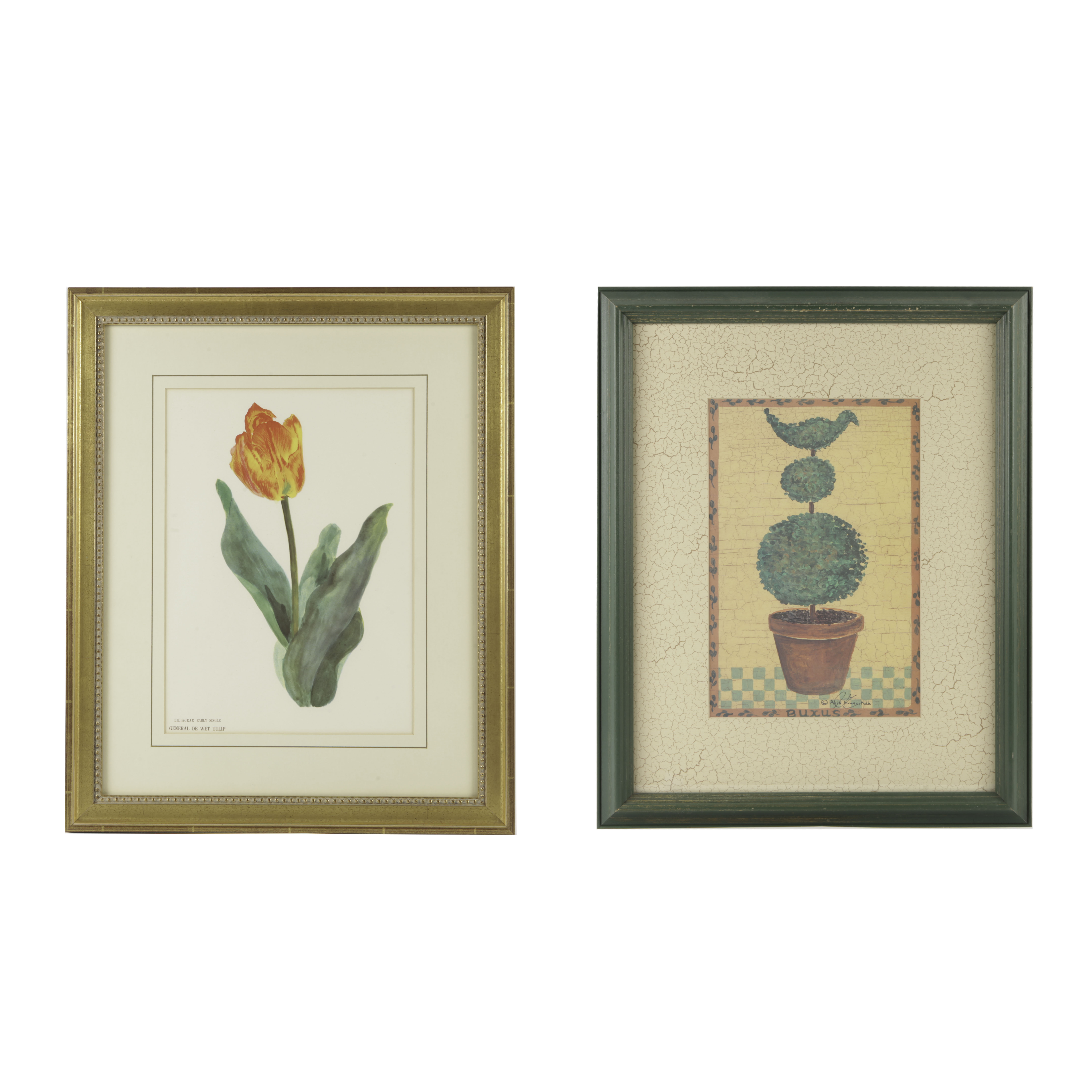 Pair of Plant Themed Offset Lithographs on Paper