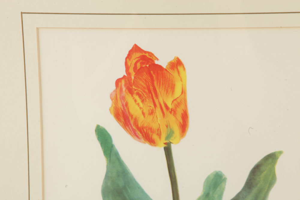 Pair of Plant Themed Offset Lithographs on Paper