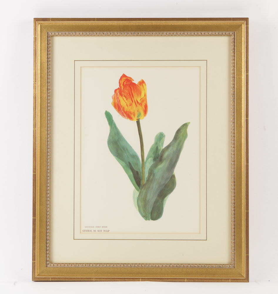 Pair of Plant Themed Offset Lithographs on Paper