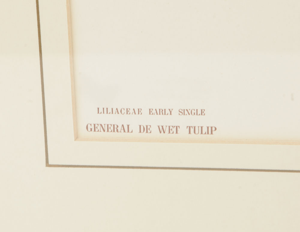 Pair of Plant Themed Offset Lithographs on Paper