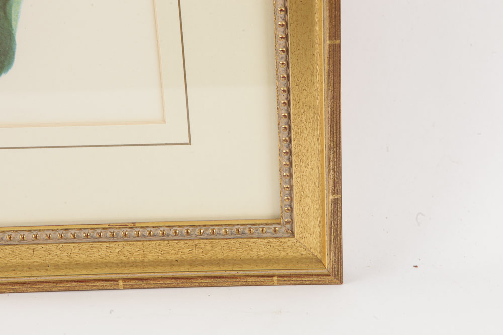 Pair of Plant Themed Offset Lithographs on Paper