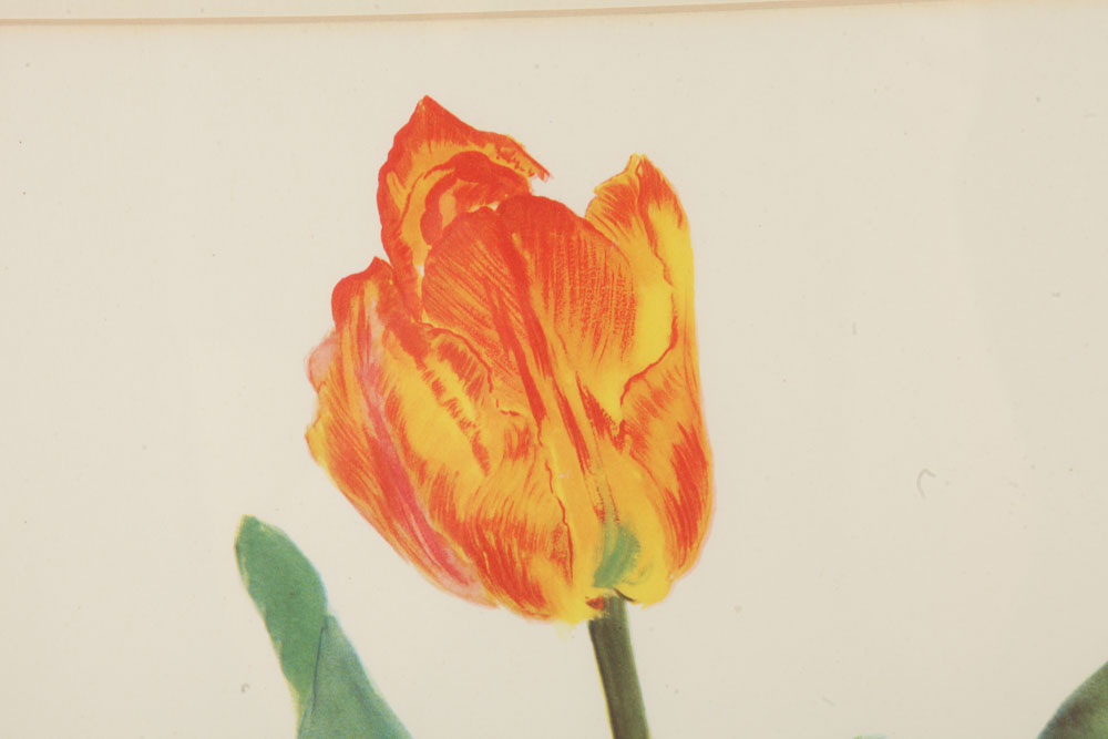 Pair of Plant Themed Offset Lithographs on Paper