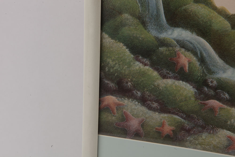 Collection of Offset Lithographs of Children's Book Illustrations