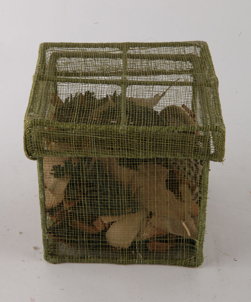 Assortment of Christmas Decor