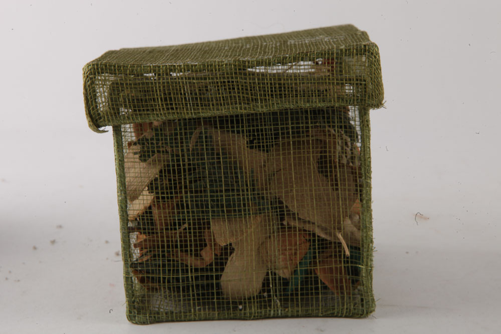 Assortment of Christmas Decor