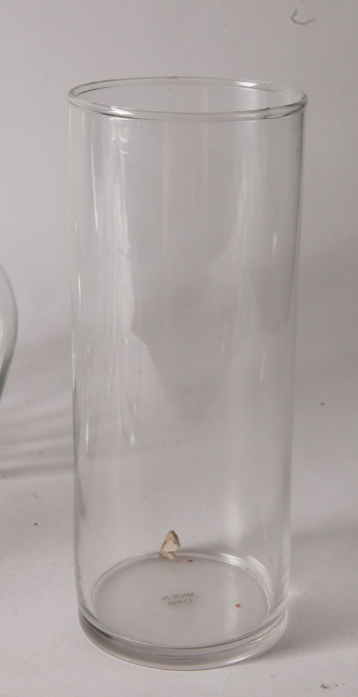 Glass Vases
