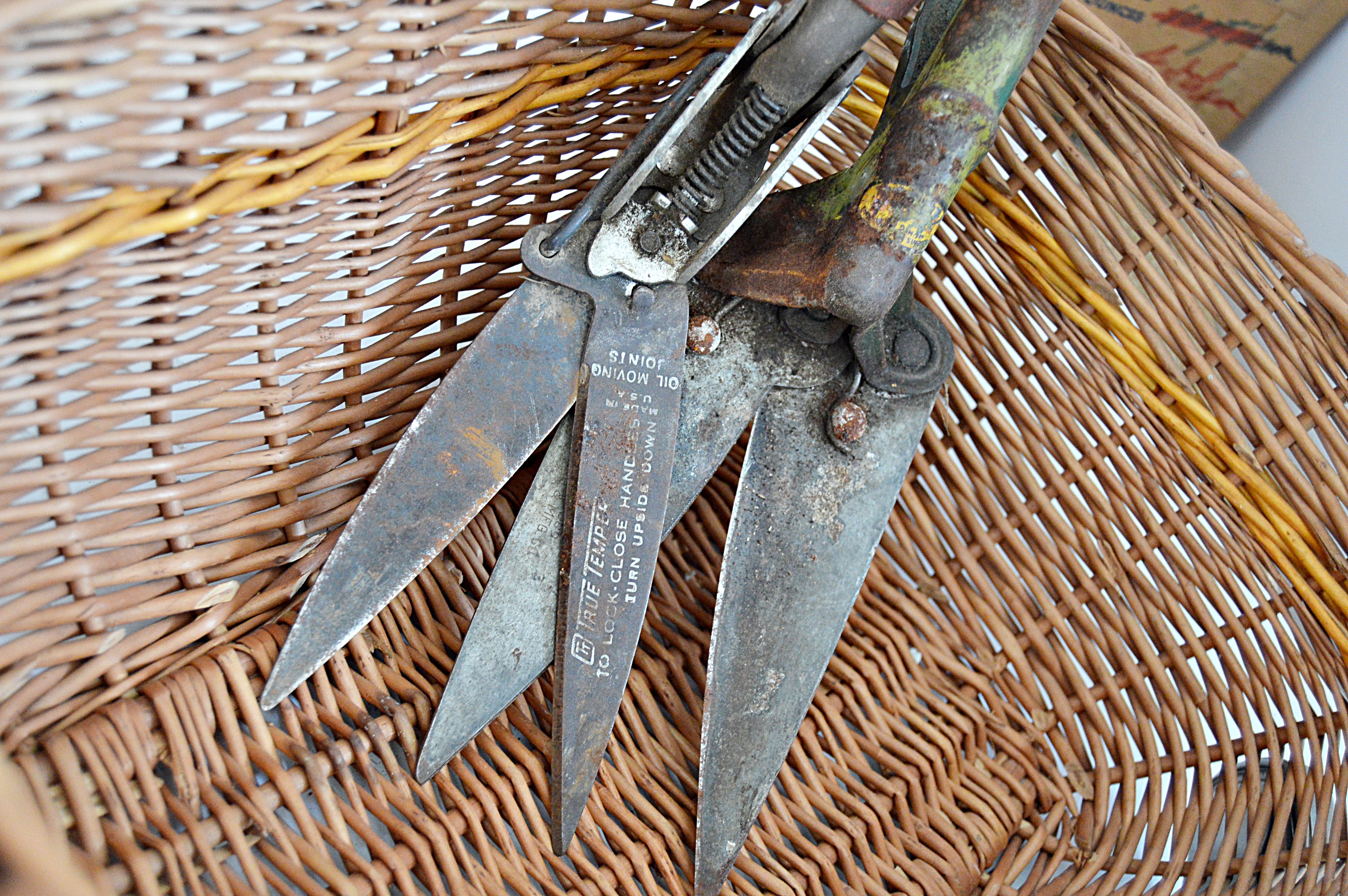 Gardening Group with Brass Nozzles, Metal Frogs, Trowels and Baskets