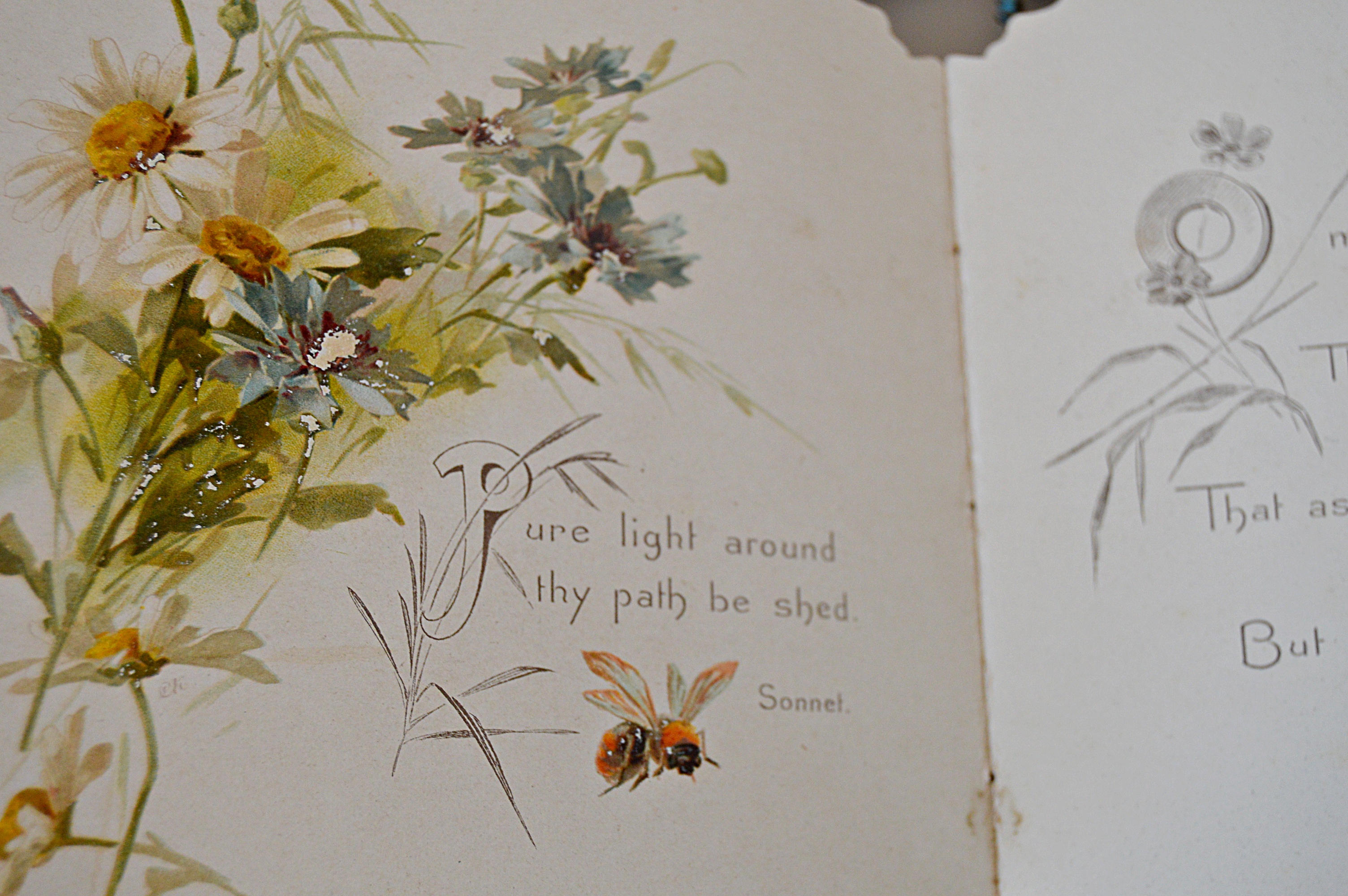 Antique Lace Collars and Trims, "The Christy Girl", Beaded Jewelry