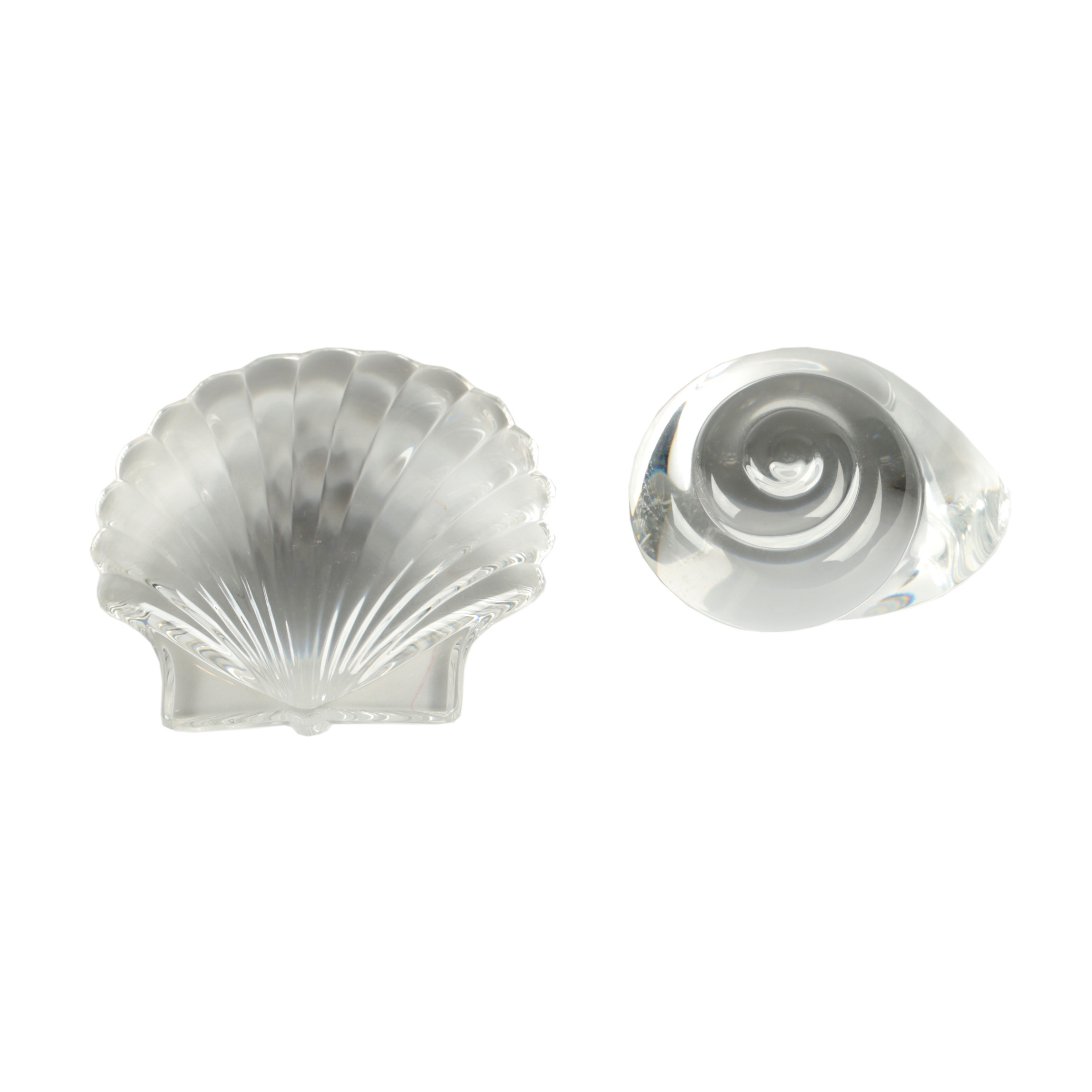Steuben Shell Paperweights