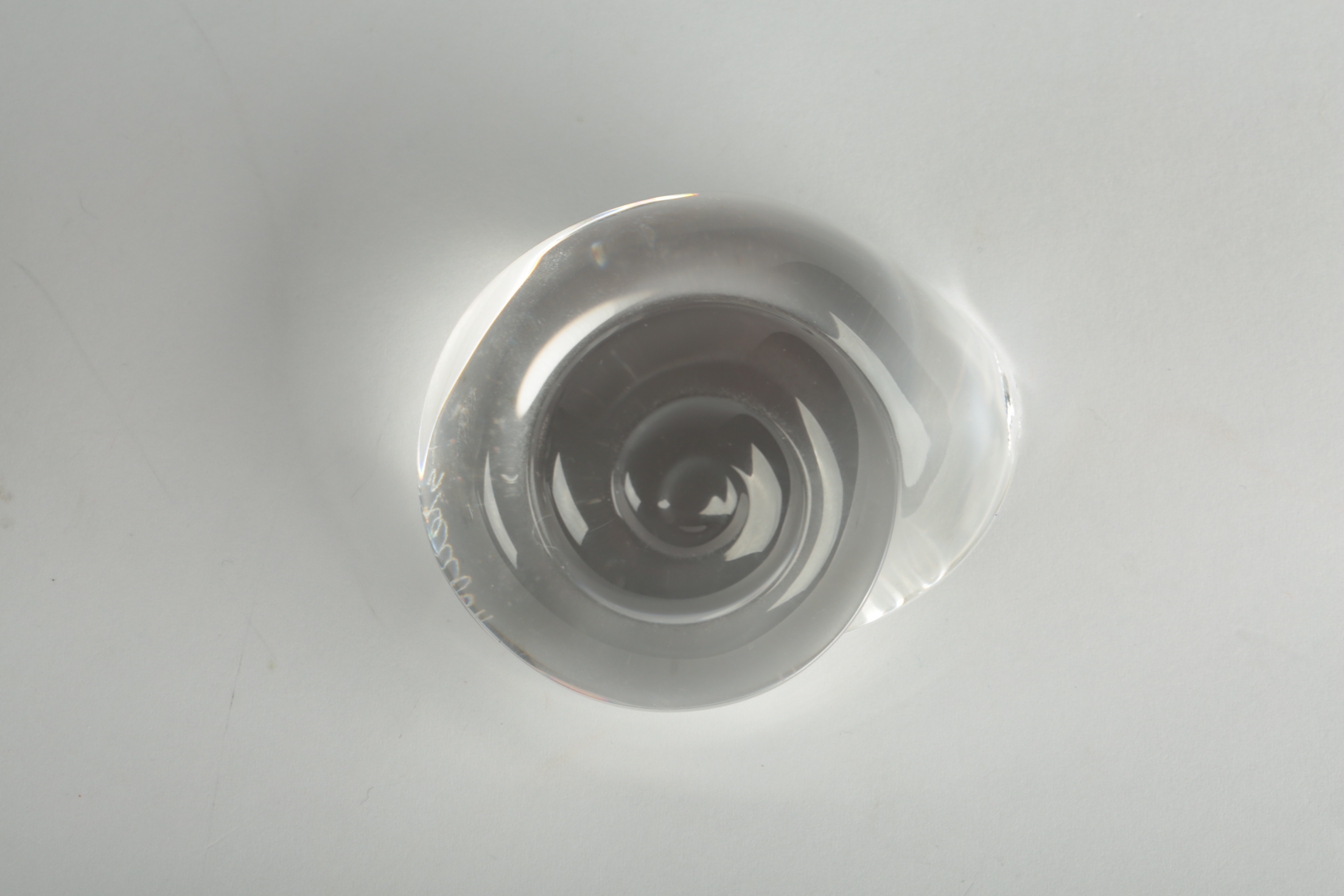 Steuben Shell Paperweights