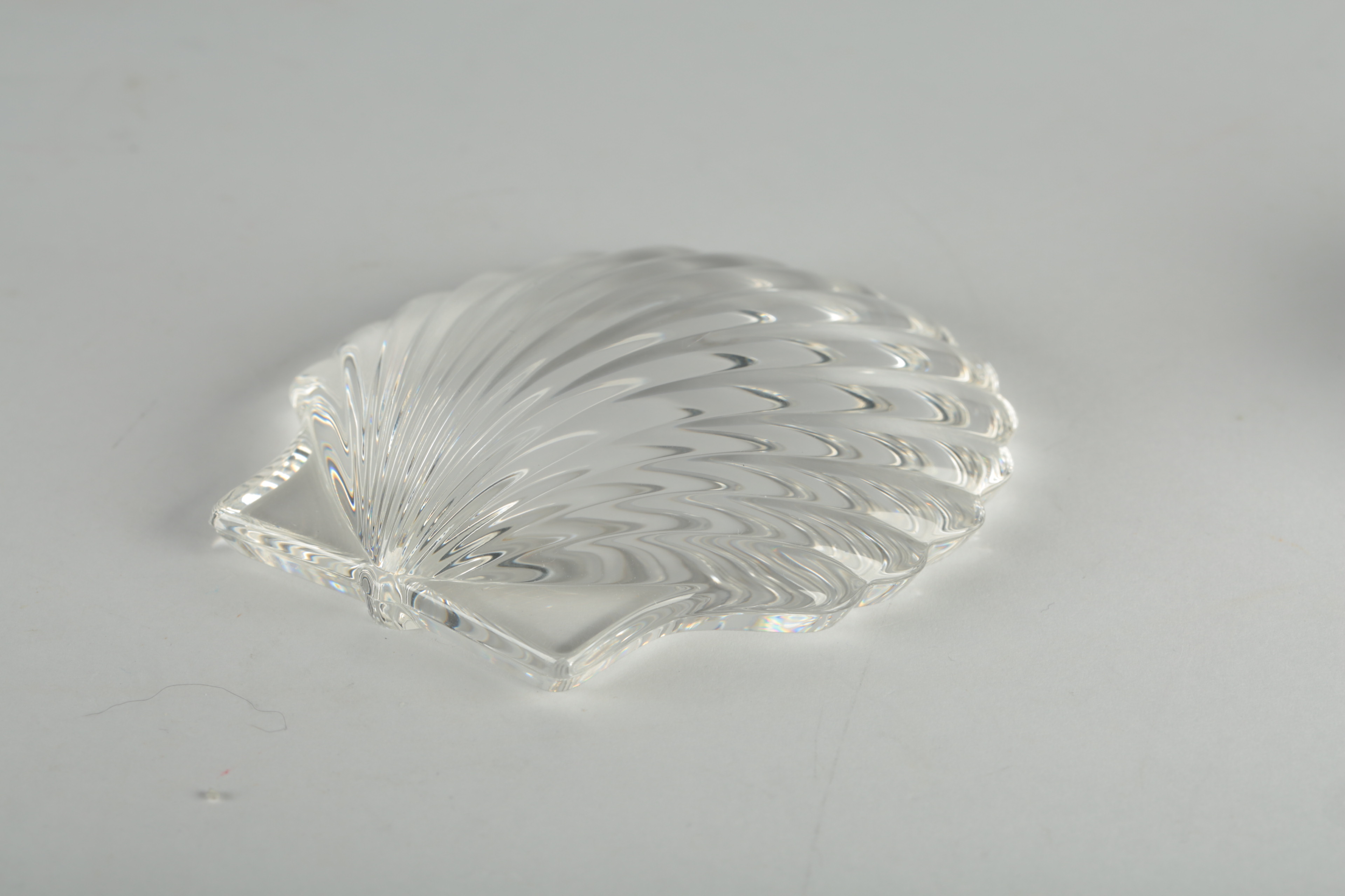 Steuben Shell Paperweights