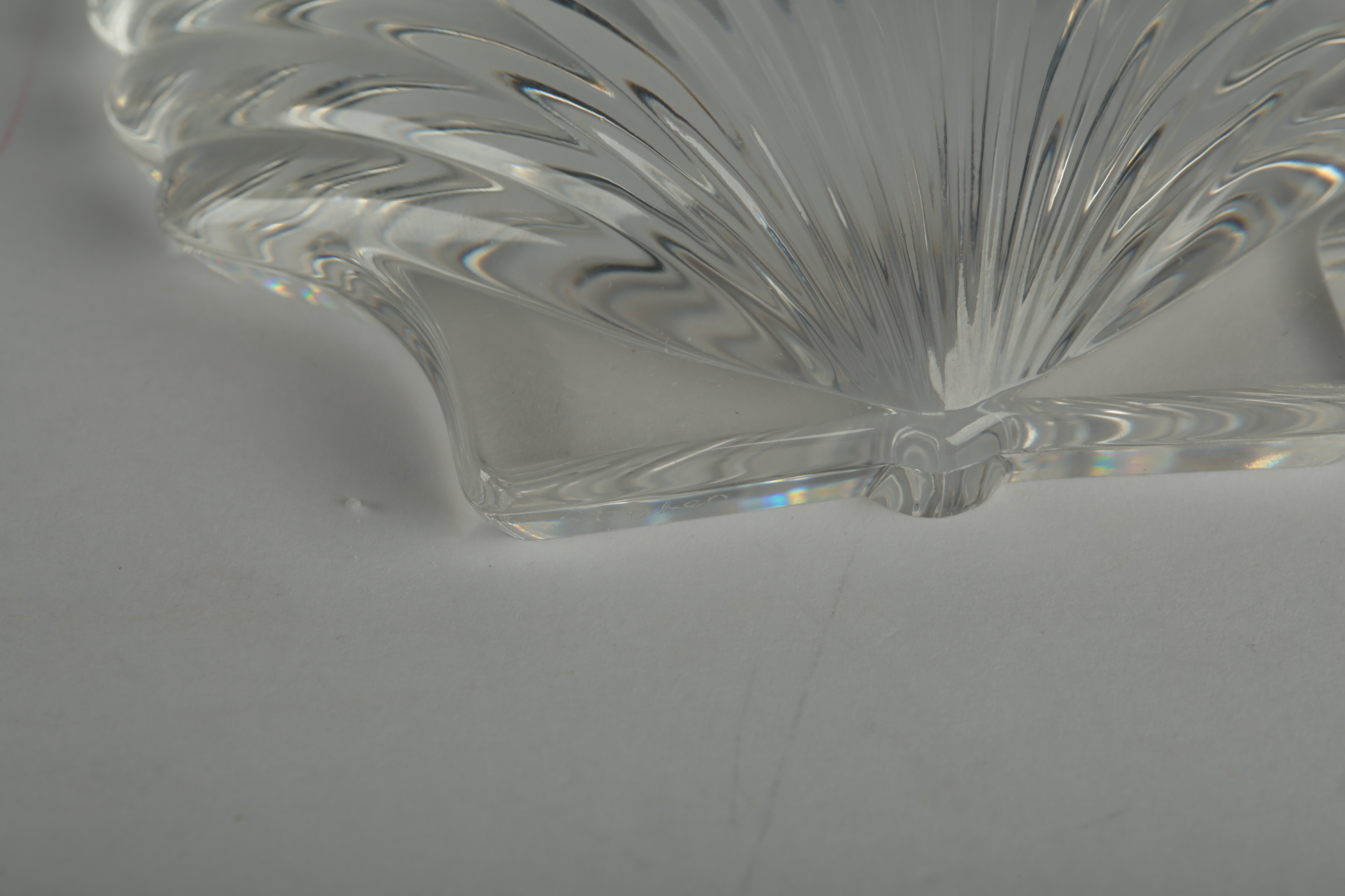 Steuben Shell Paperweights