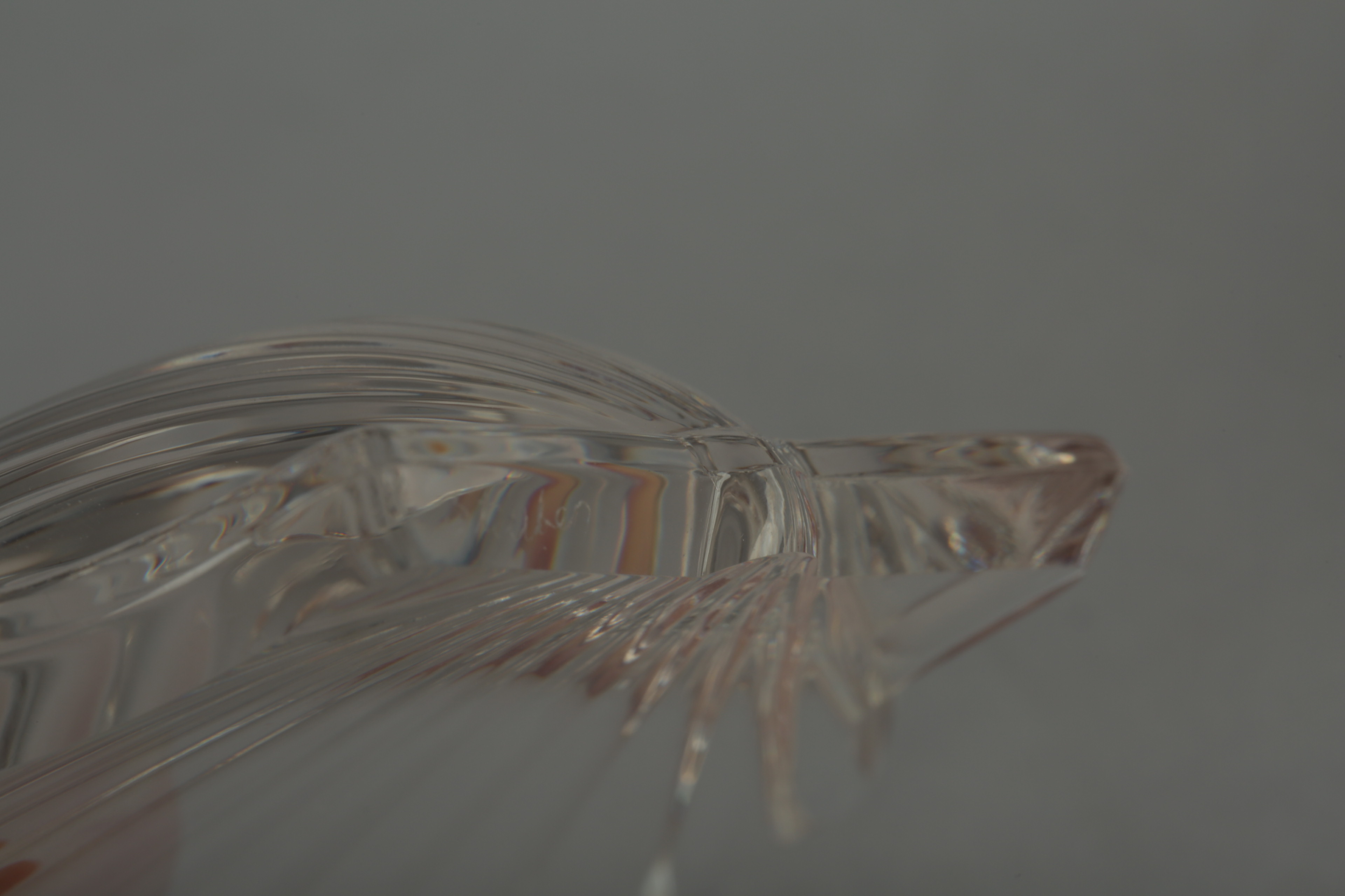 Steuben Shell Paperweights