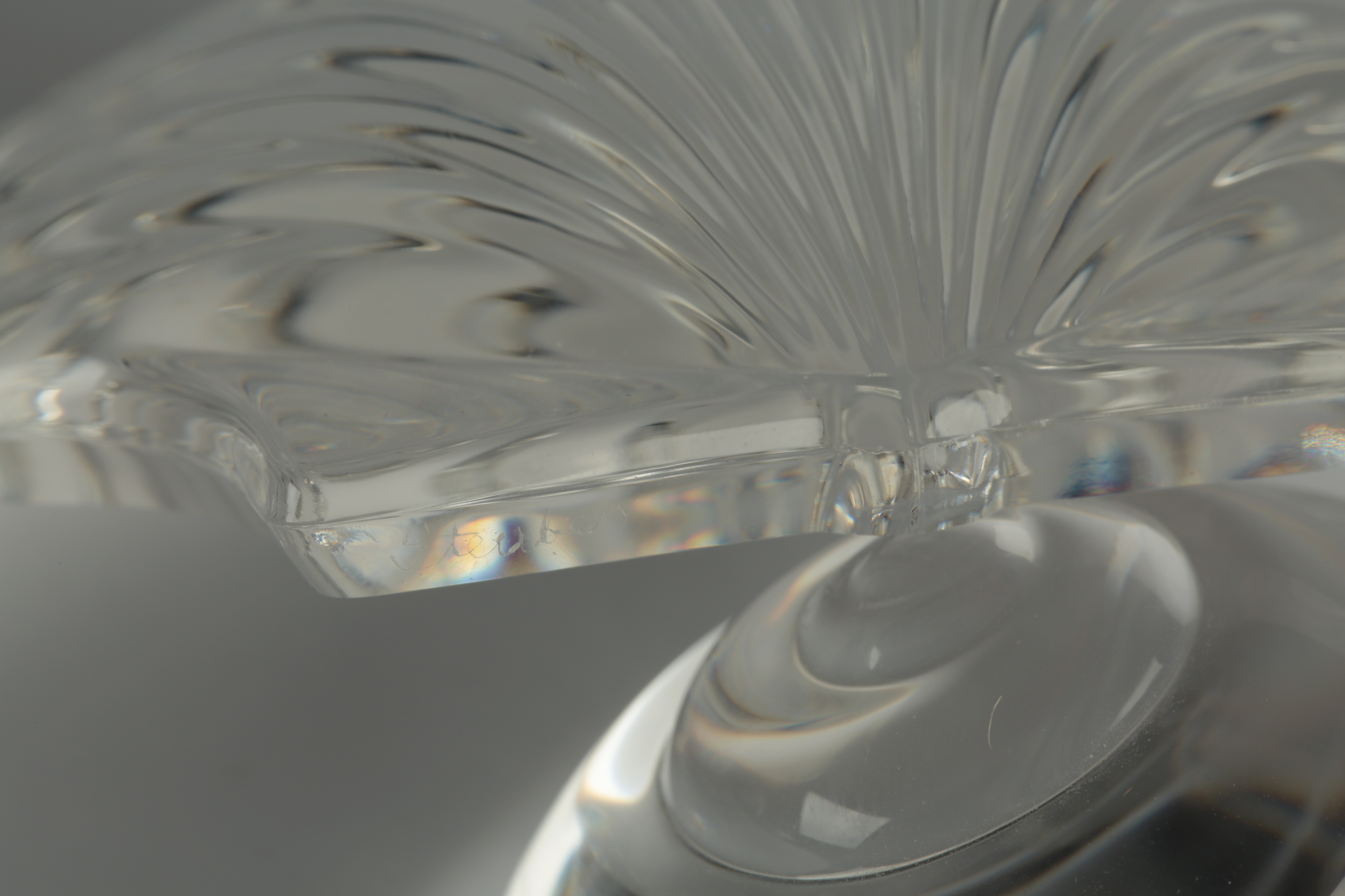 Steuben Shell Paperweights