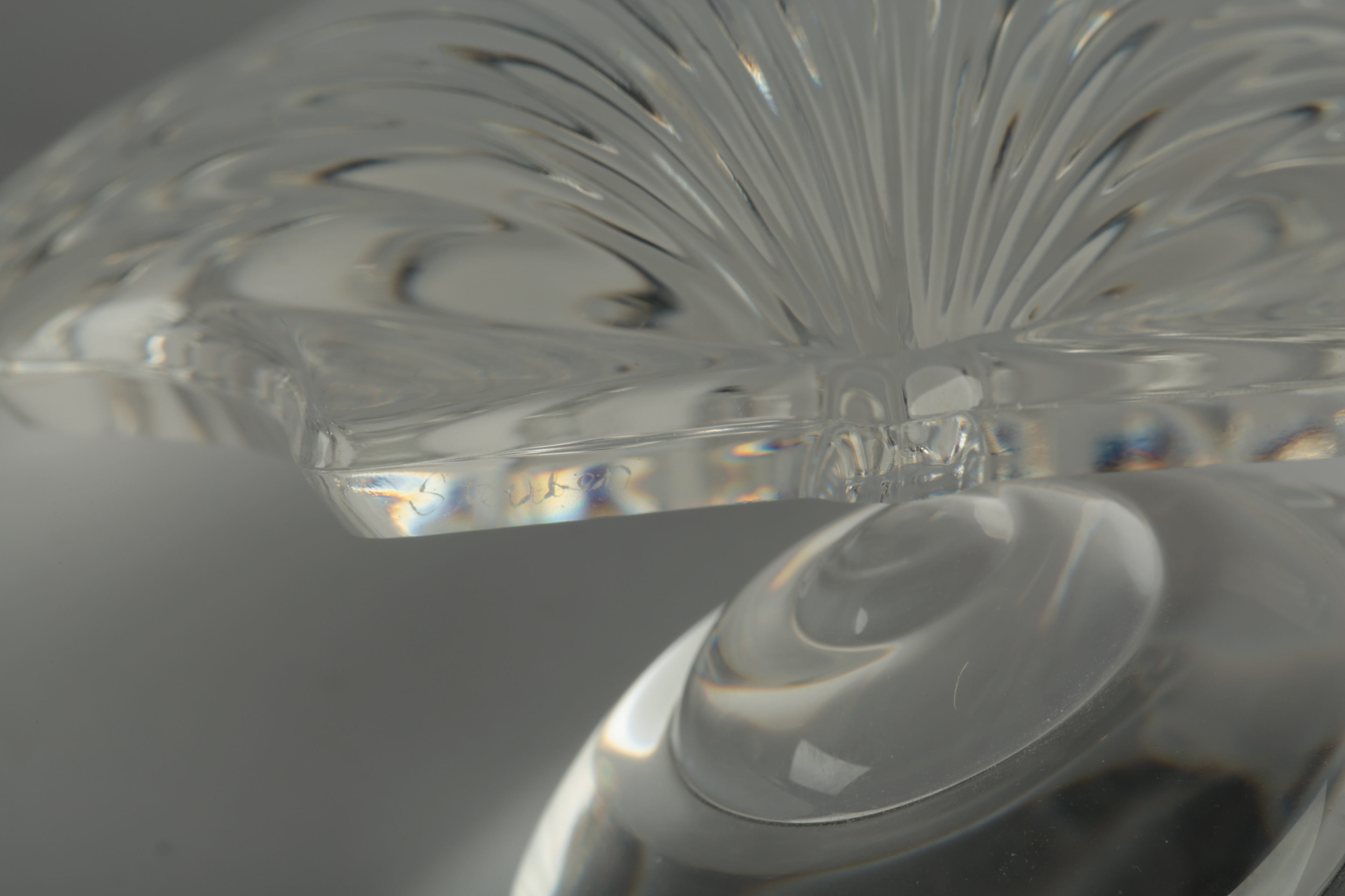 Steuben Shell Paperweights