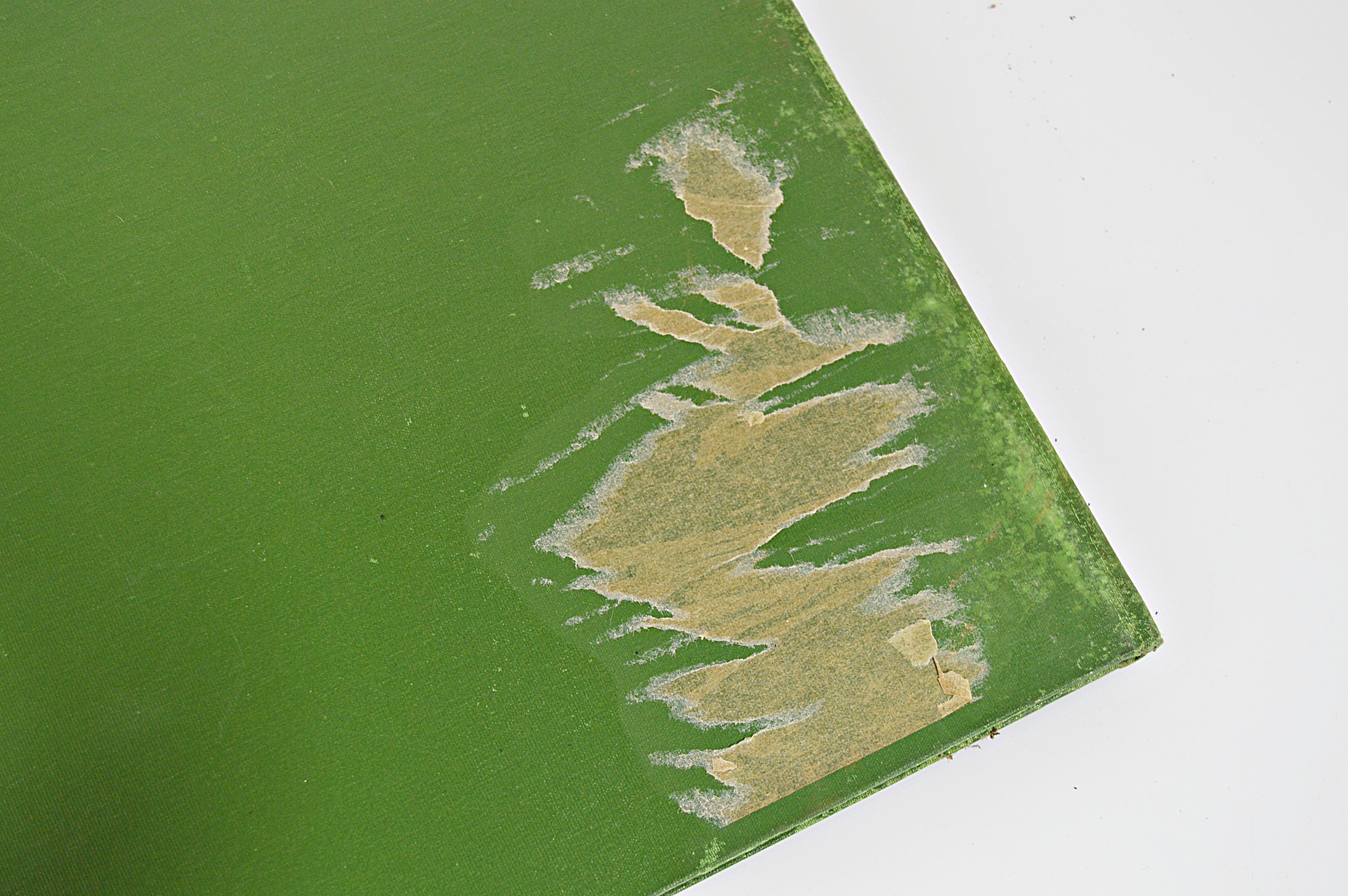 1906 Post Card Album and "Lovely Woman", Plus W.S. Heal Leather Postcards