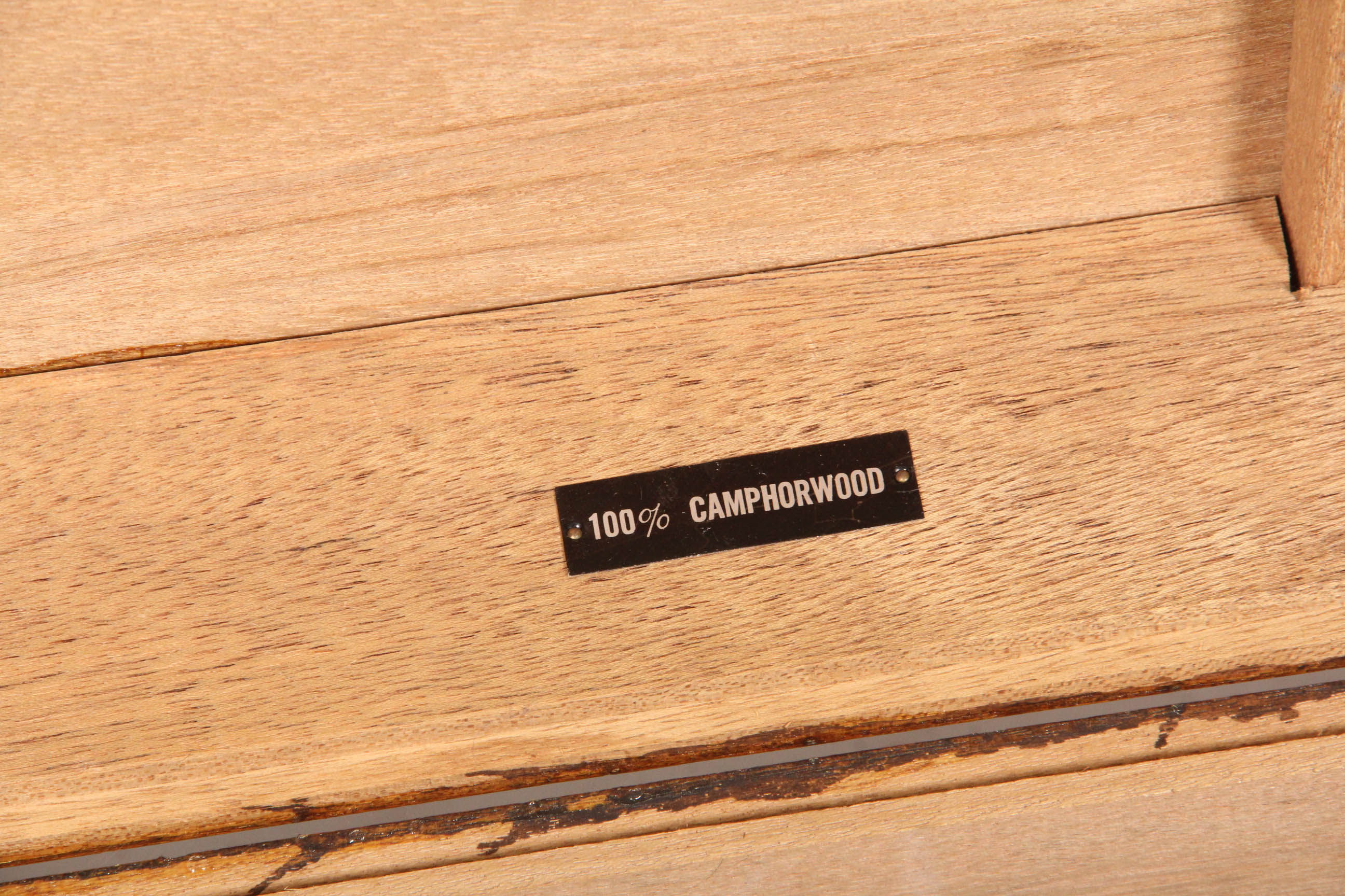 Vintage Chinese Carved Camphorwood Chest