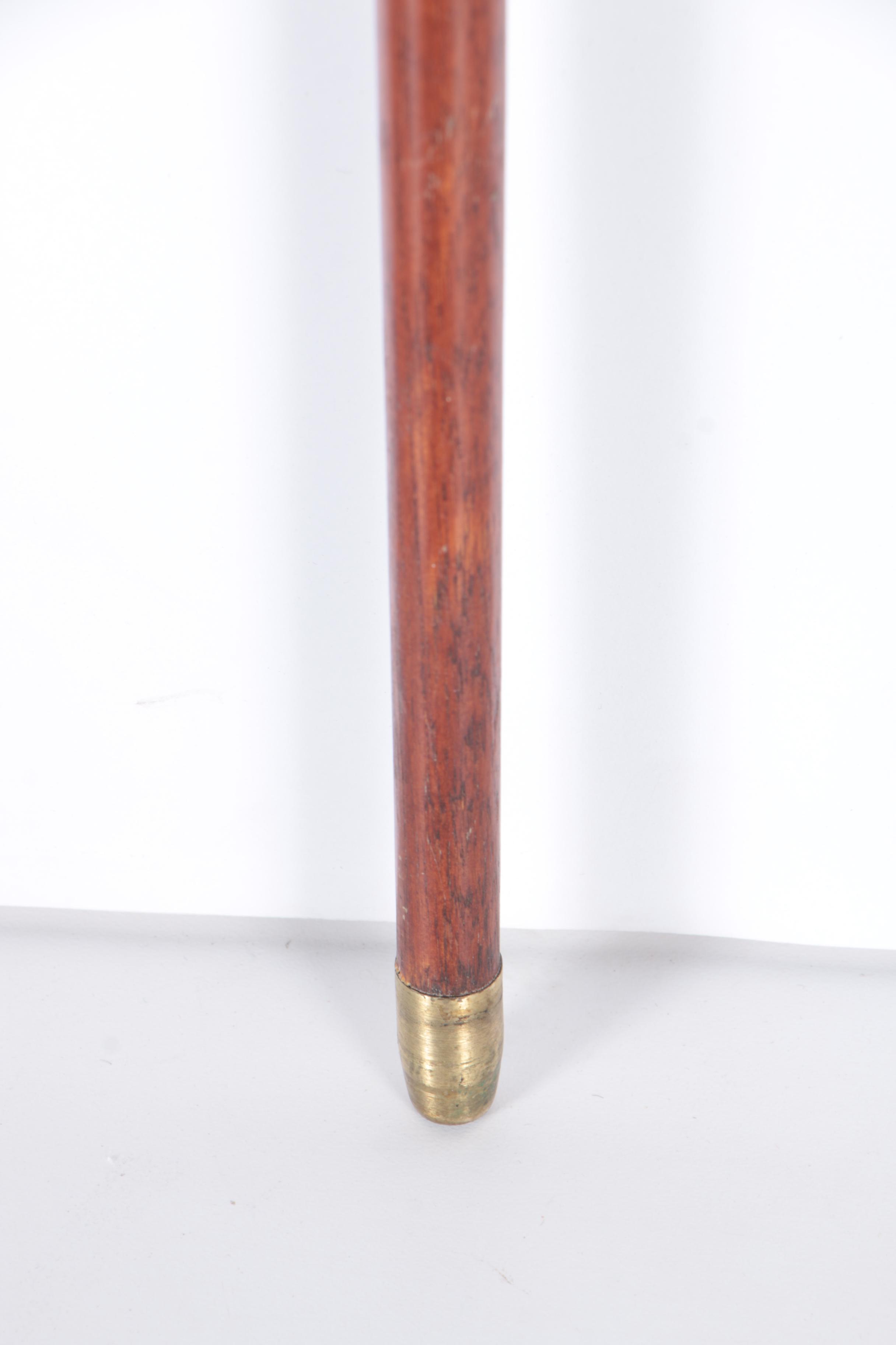 Pair of Walking Sticks