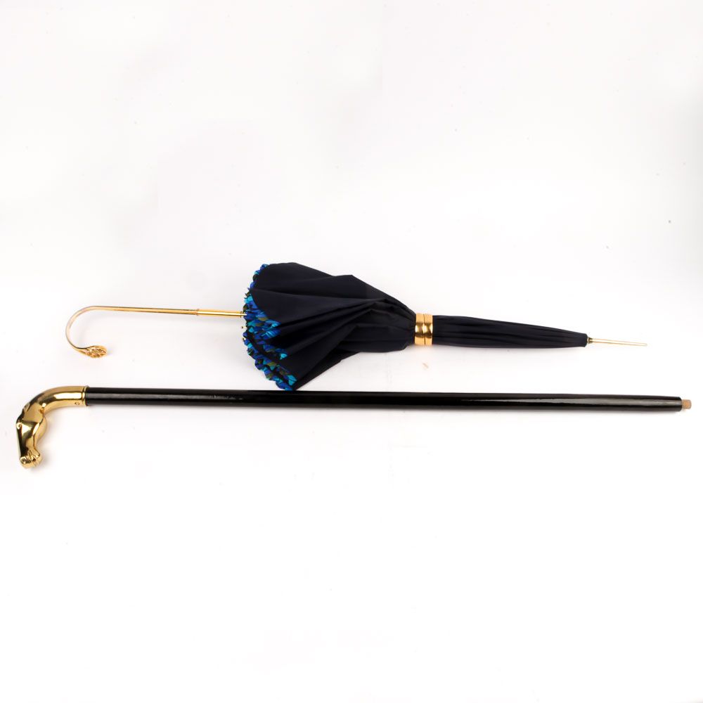 Parasol and Lacquered Brass Cane