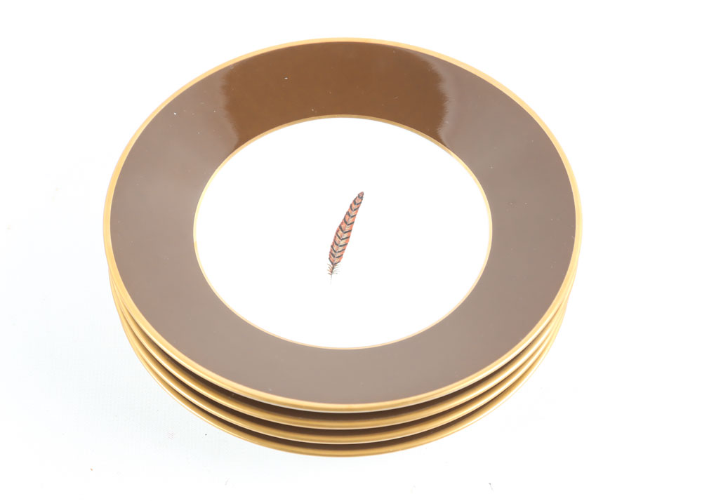 Lynn Chase "Winter Game Birds" China Tableware