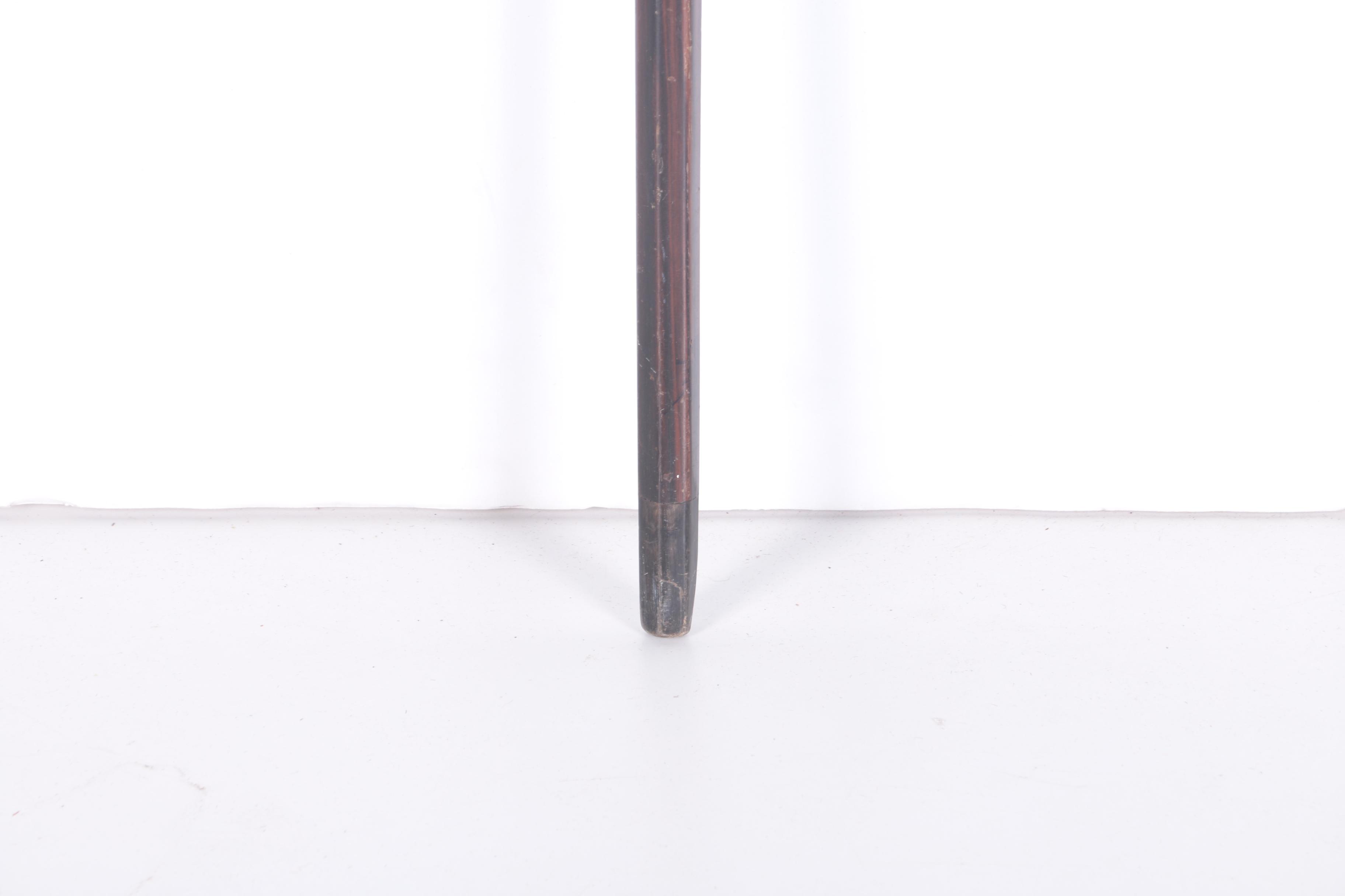 Walking Cane Collection