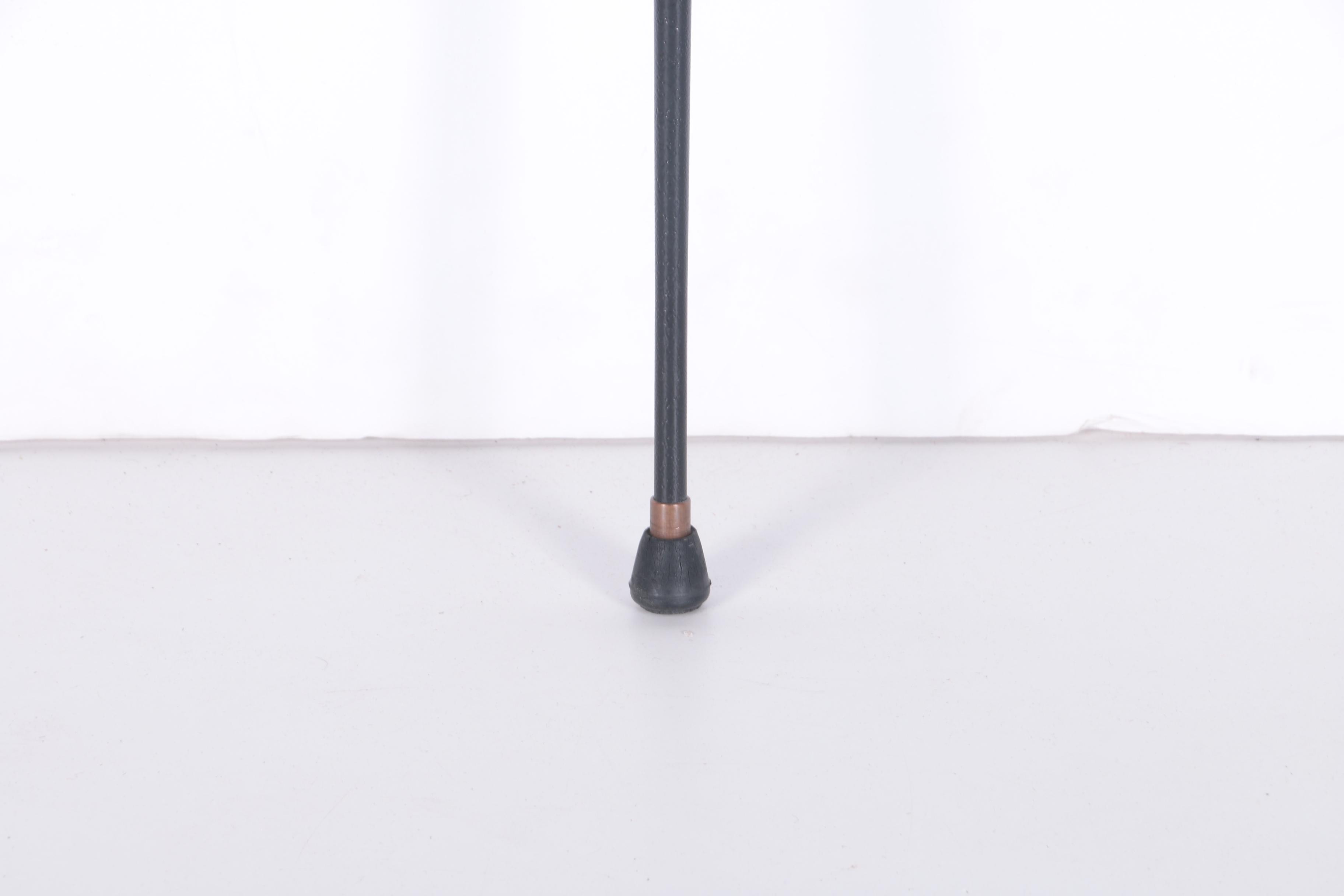 Walking Cane Collection