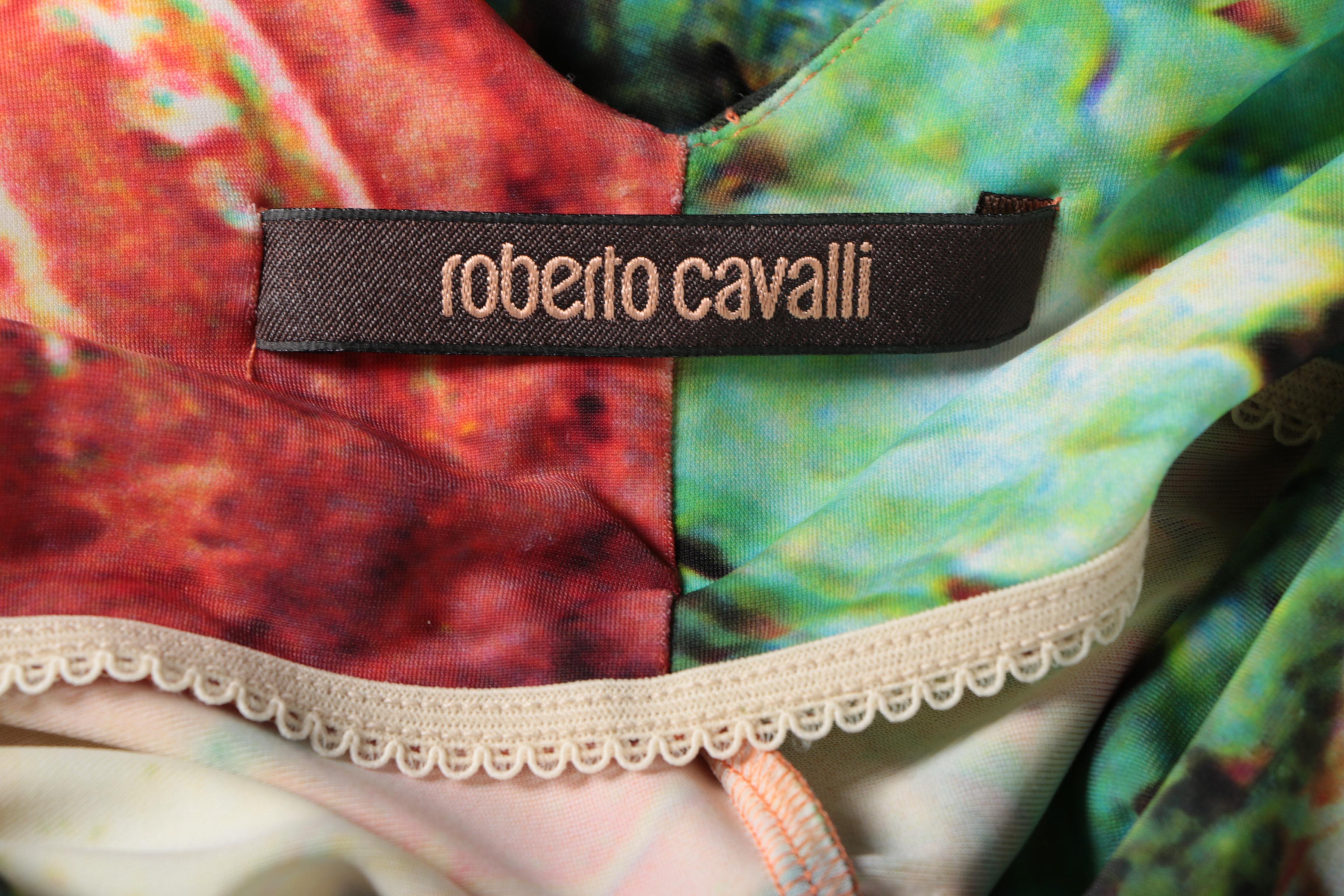 Roberto Cavalli Painterly Bodycon Dress