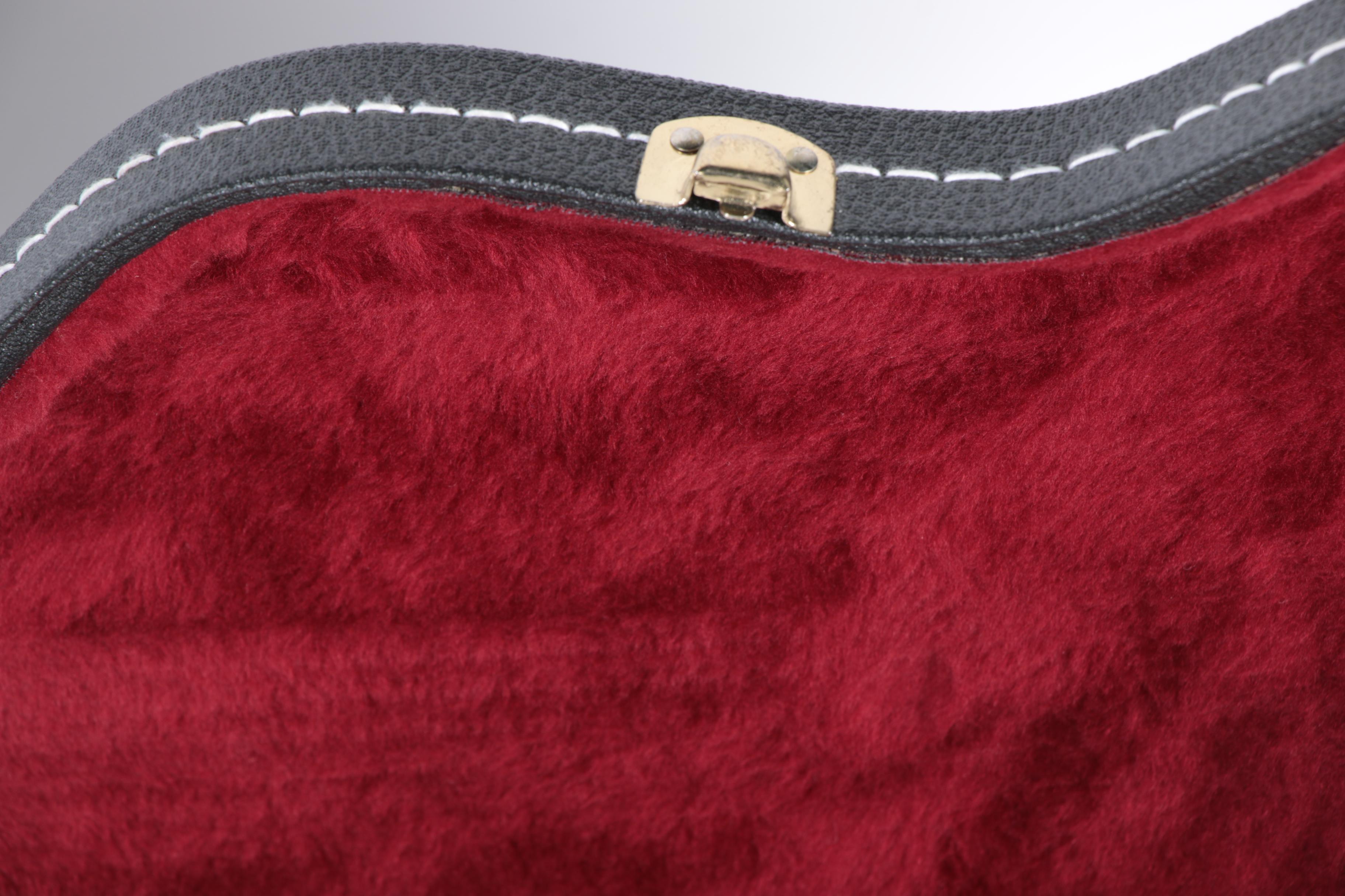 Manuel Rodriguez e Hijos Model C Classical Style Acoustic Guitar and Case