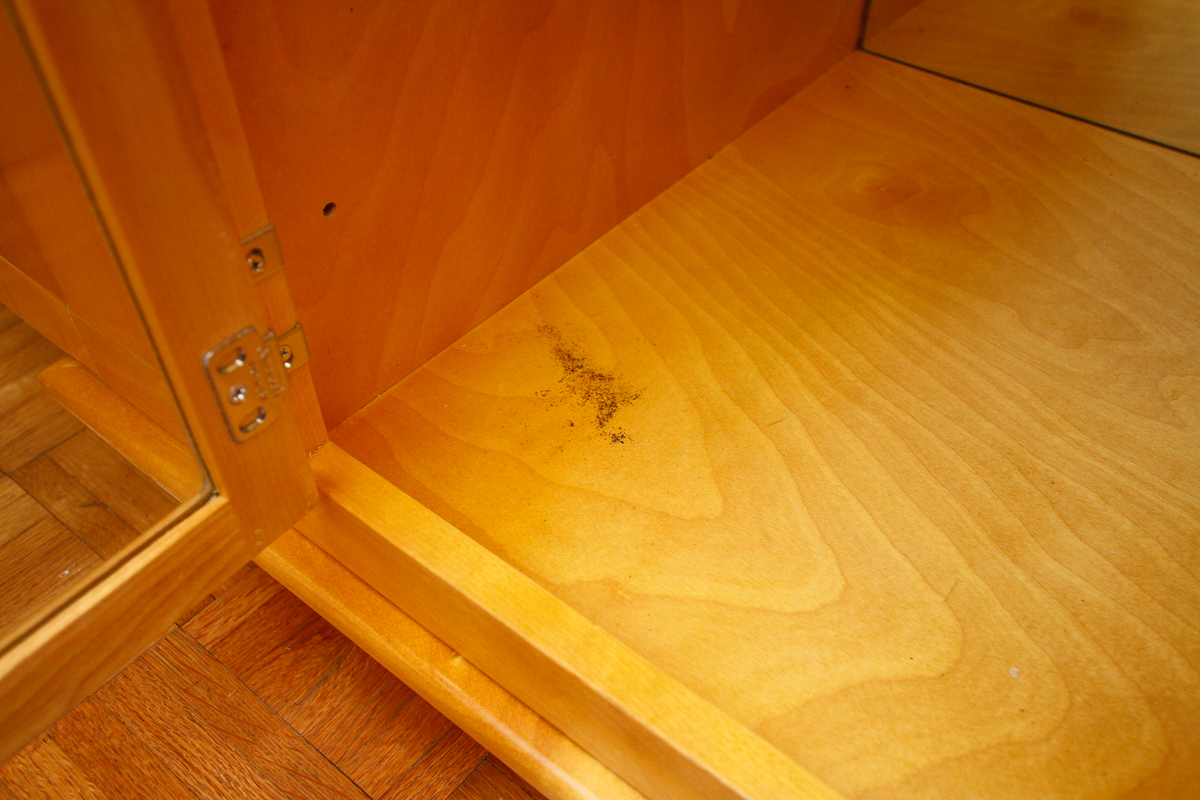 Contemporary Modern Maple Bombé Cabinet