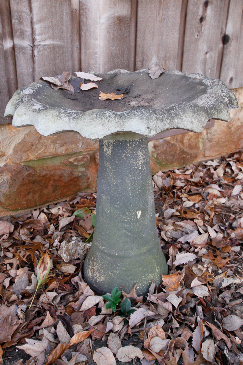 Concrete Birdbath