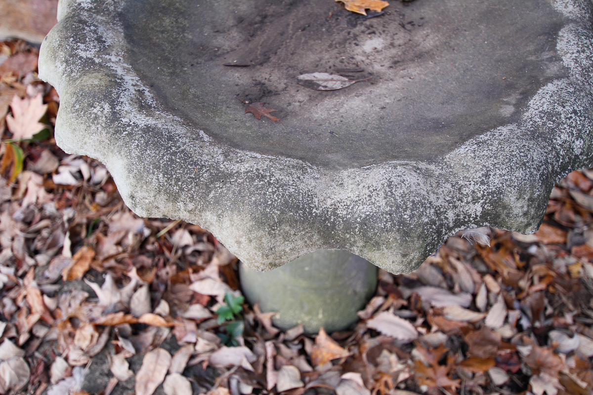 Concrete Birdbath