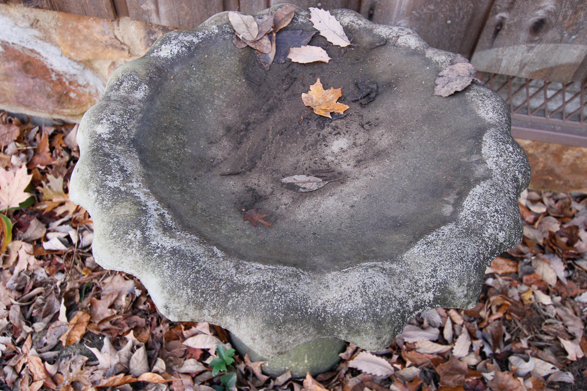 Concrete Birdbath