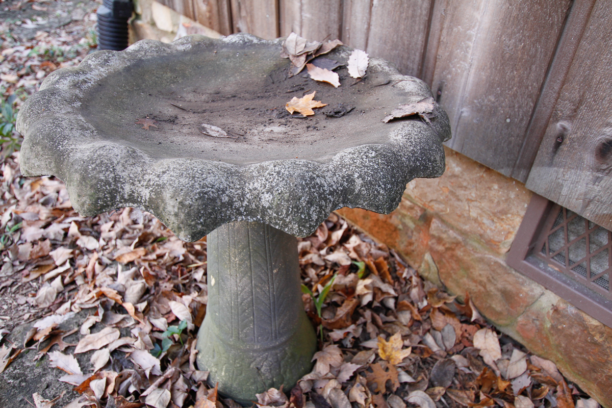 Concrete Birdbath