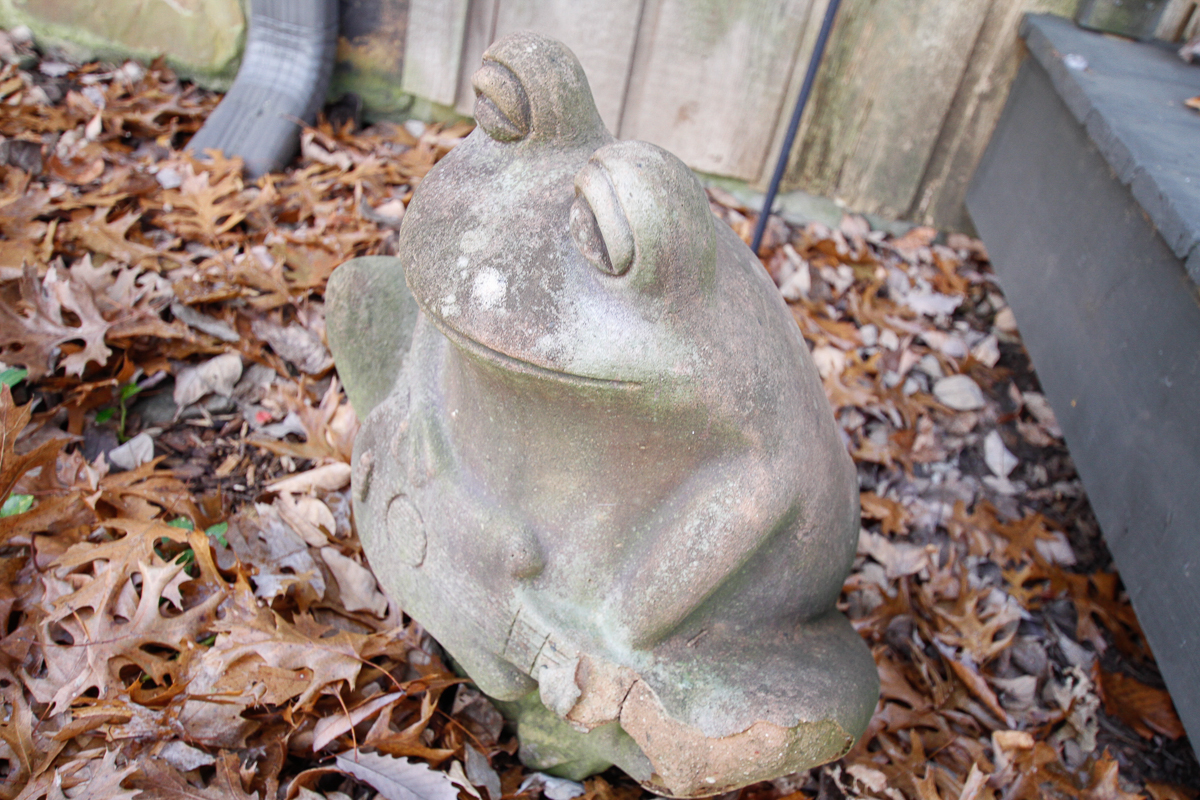 Cement Frog Planter