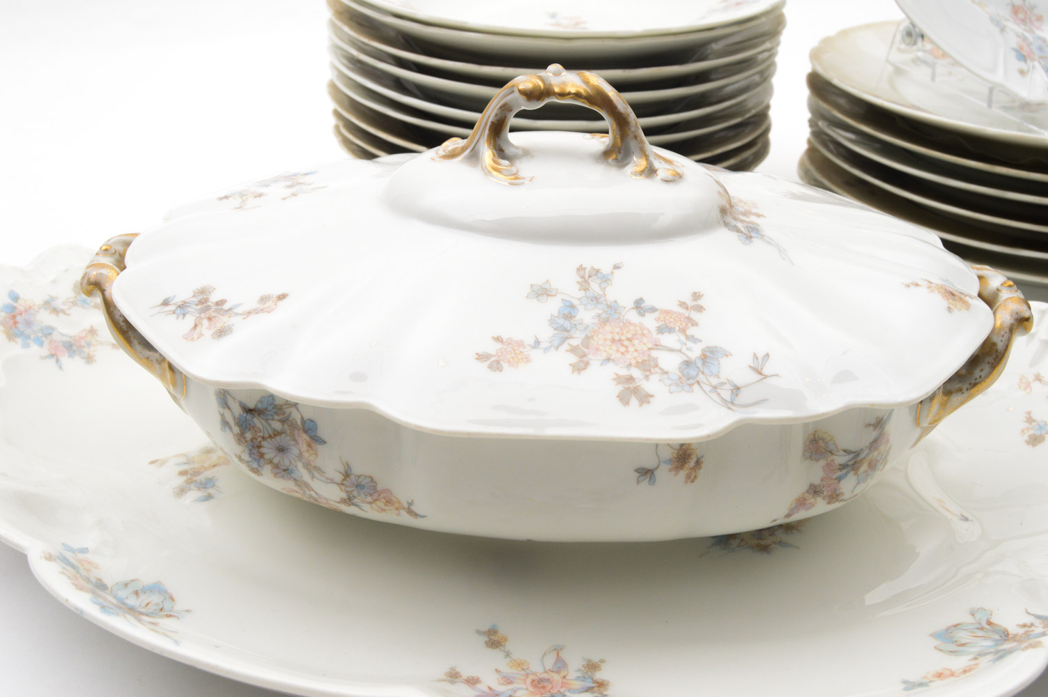 Antique Haviland & Co. Limoges for Burley & Co. China