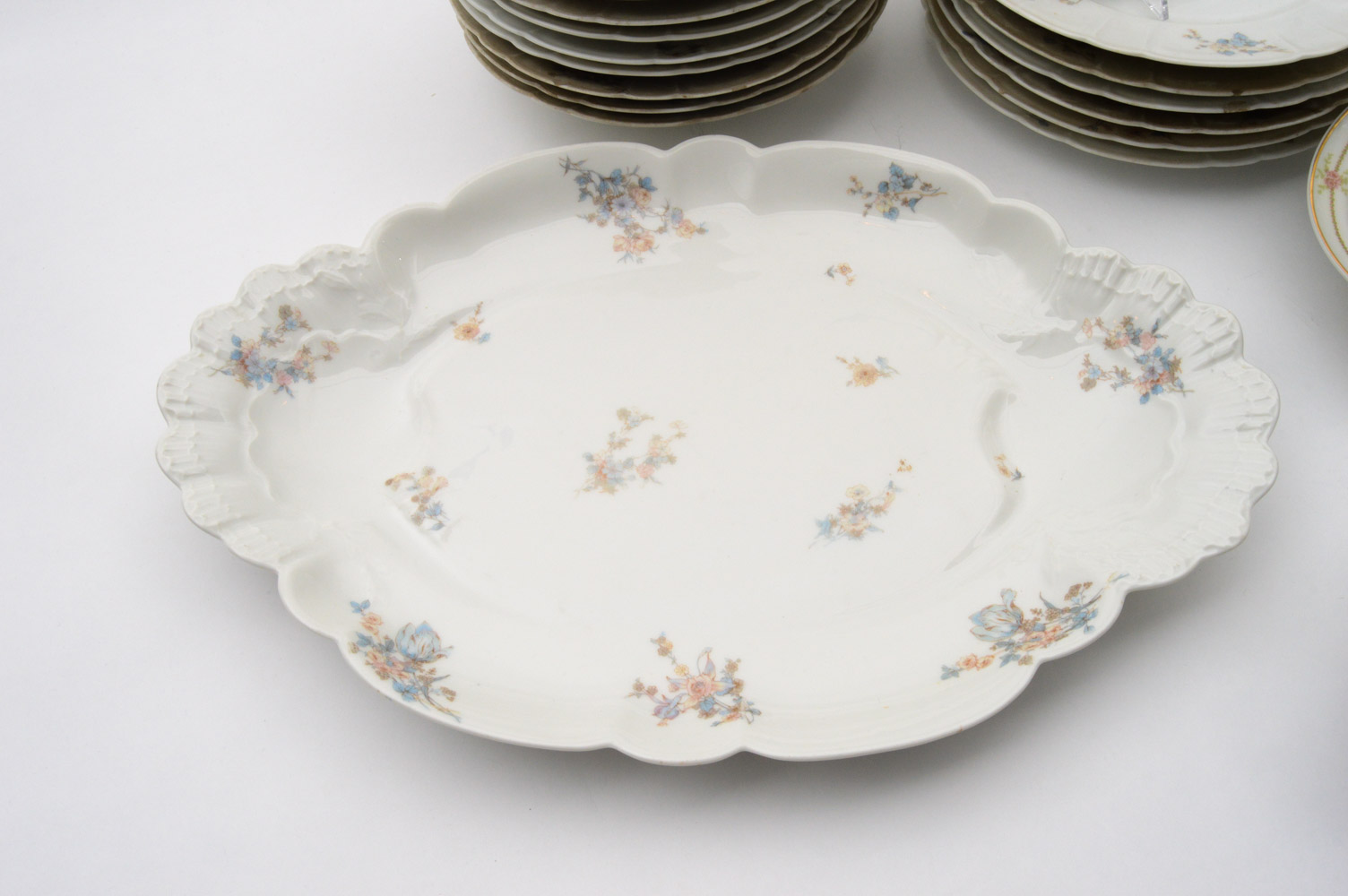Antique Haviland & Co. Limoges for Burley & Co. China