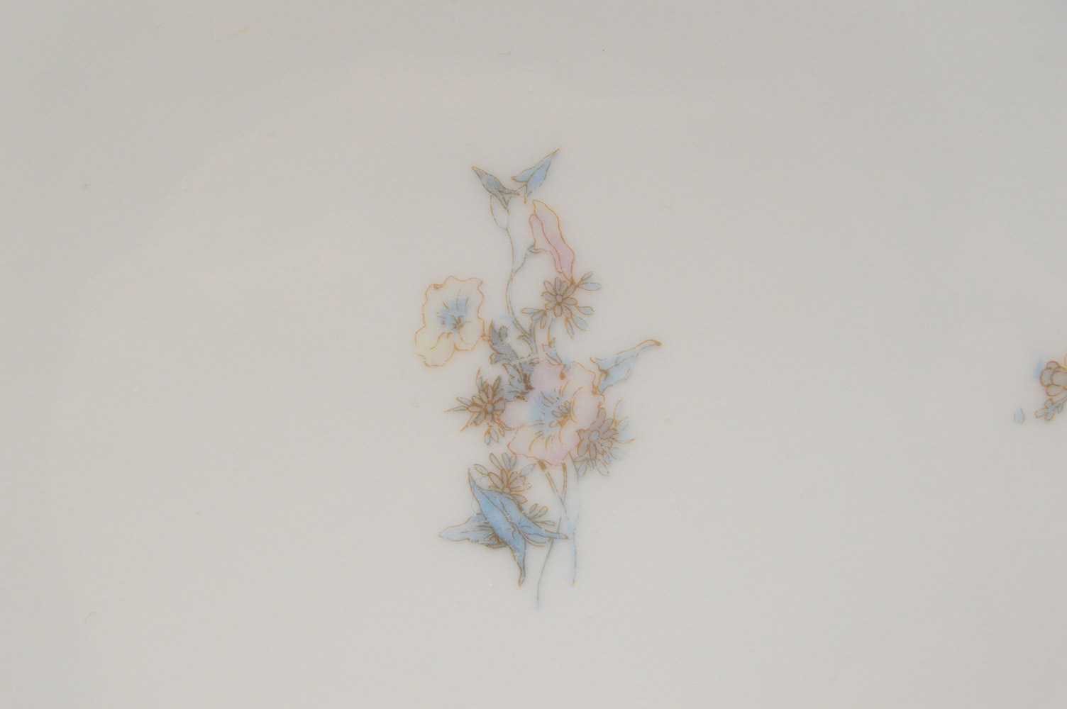 Antique Haviland & Co. Limoges for Burley & Co. China