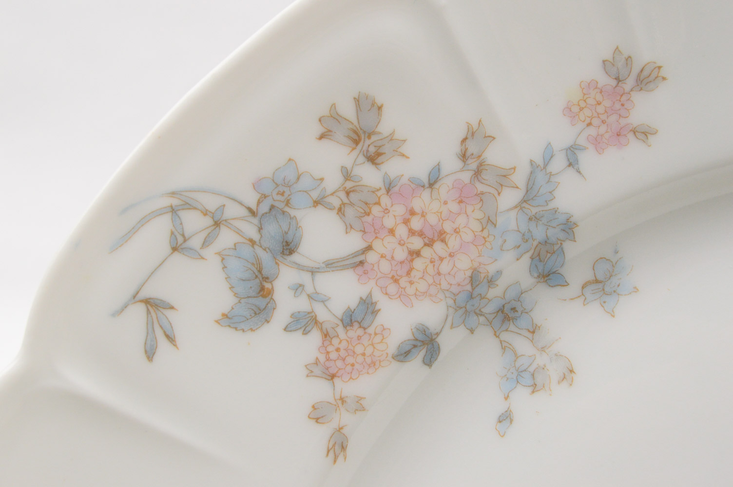 Antique Haviland & Co. Limoges for Burley & Co. China