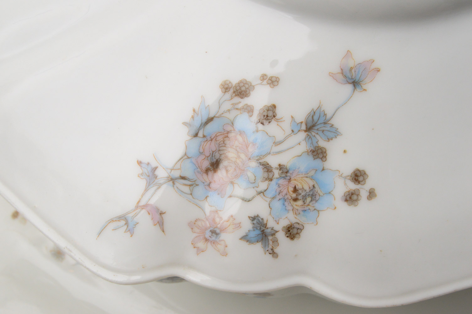 Antique Haviland & Co. Limoges for Burley & Co. China