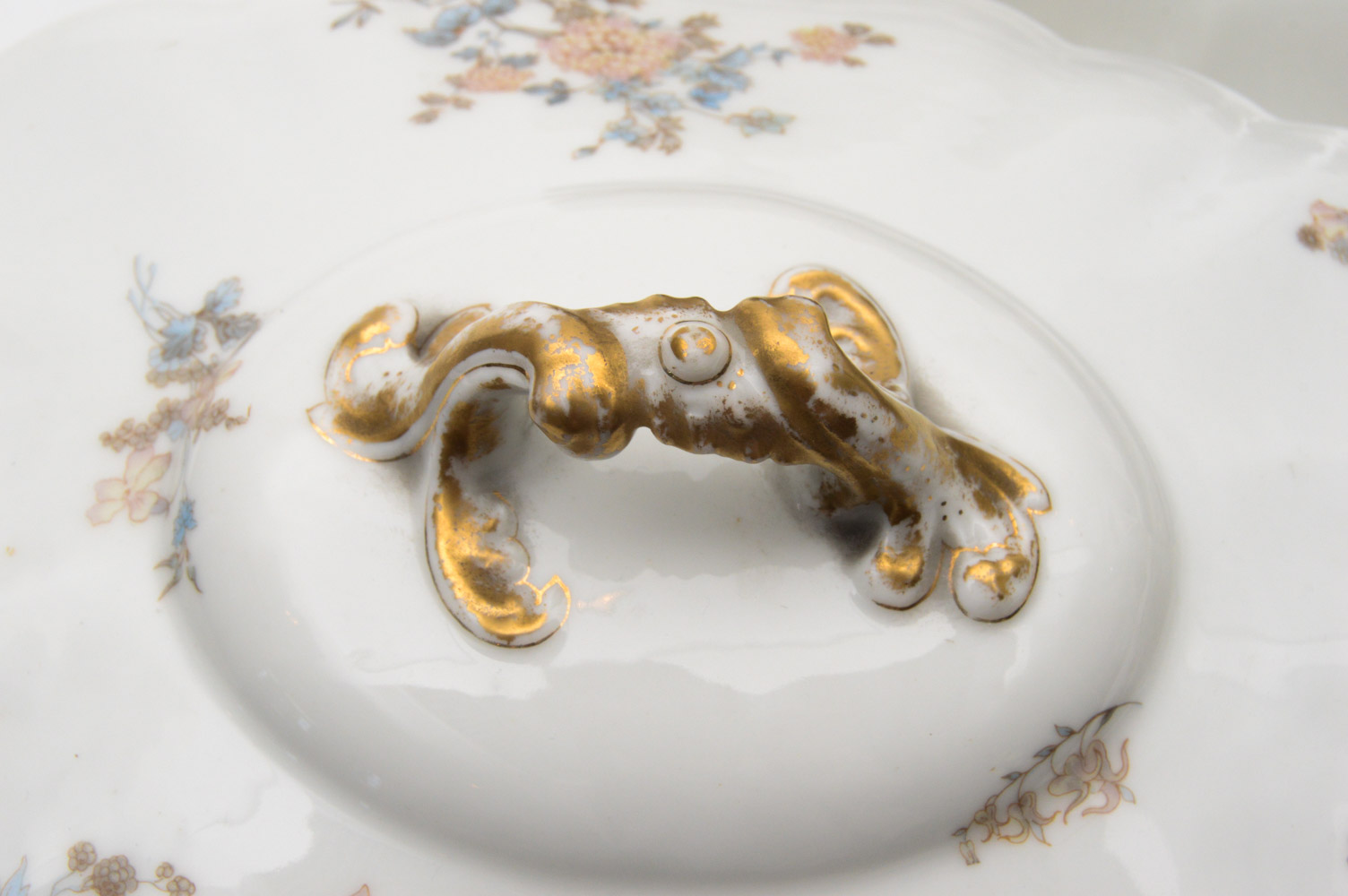 Antique Haviland & Co. Limoges for Burley & Co. China