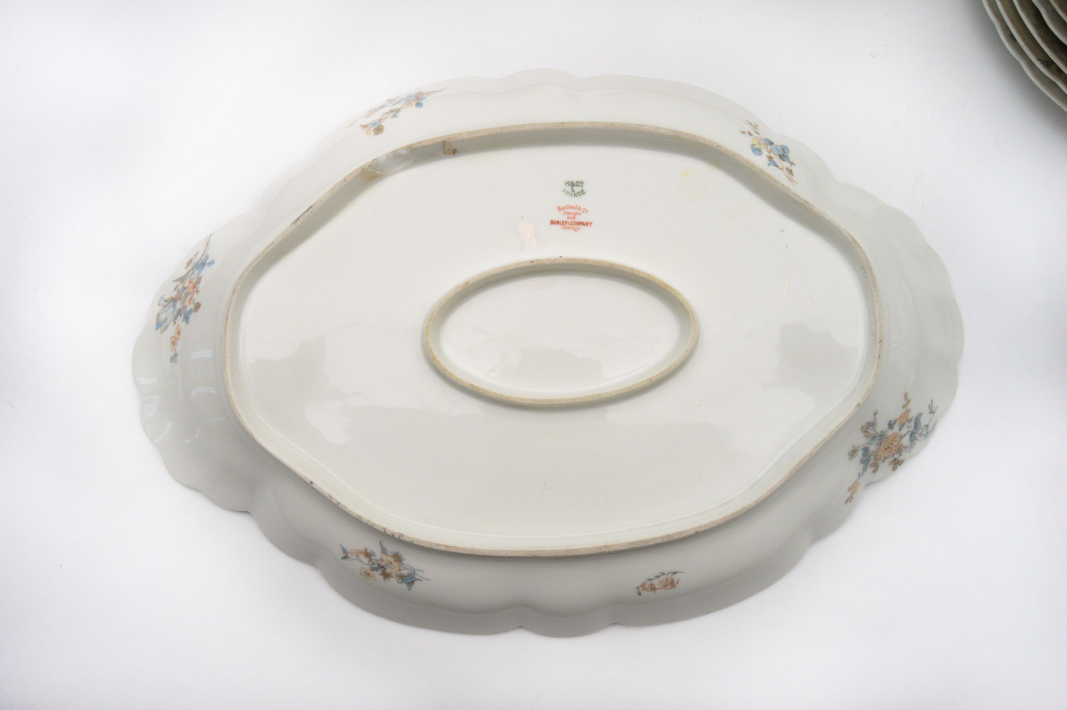 Antique Haviland & Co. Limoges for Burley & Co. China