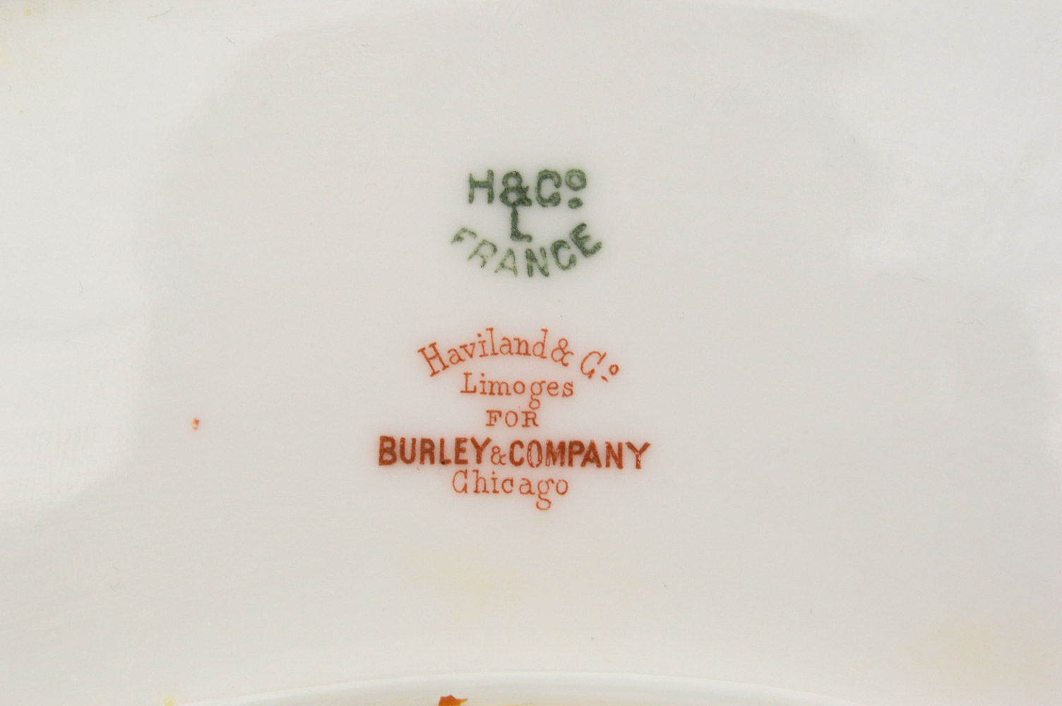 Antique Haviland & Co. Limoges for Burley & Co. China