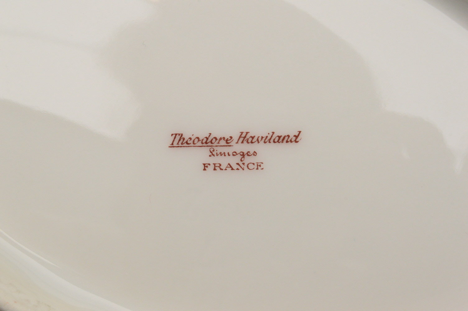 Antique Haviland & Co. Limoges for Burley & Co. China