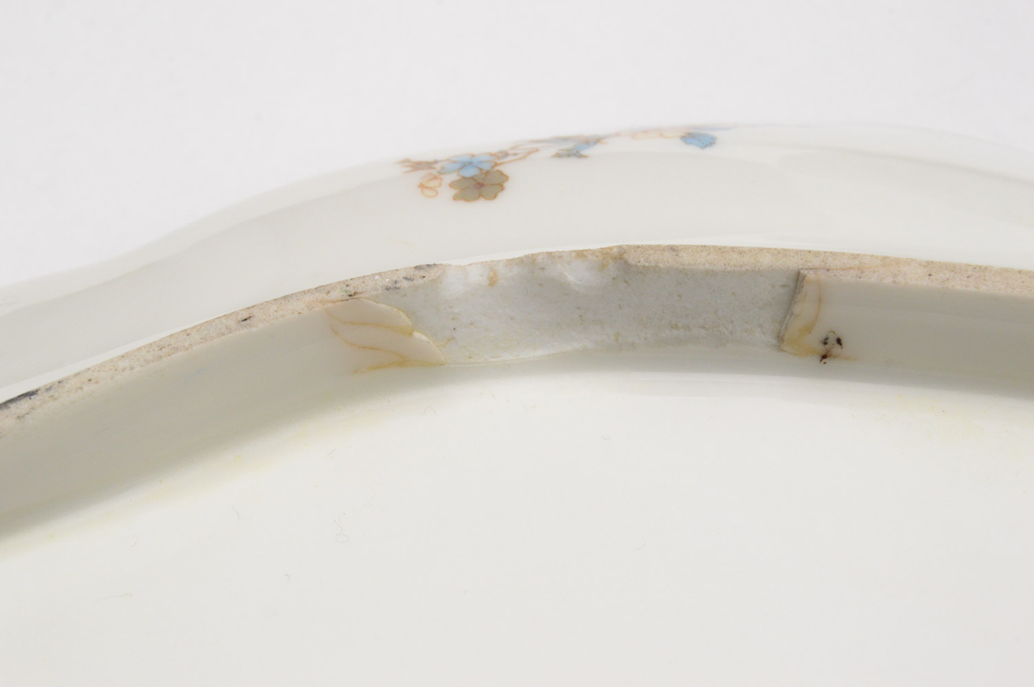 Antique Haviland & Co. Limoges for Burley & Co. China