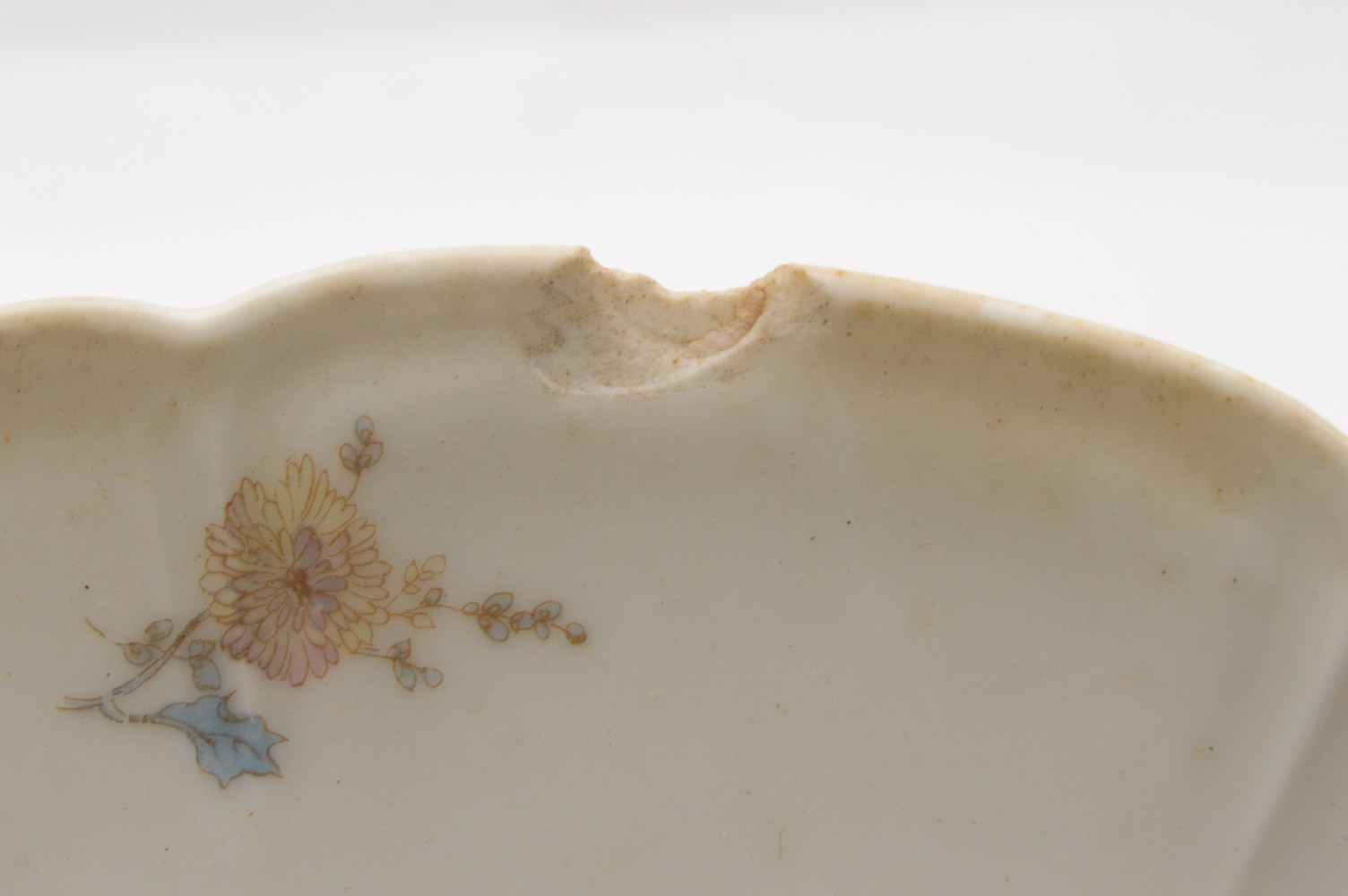 Antique Haviland & Co. Limoges for Burley & Co. China