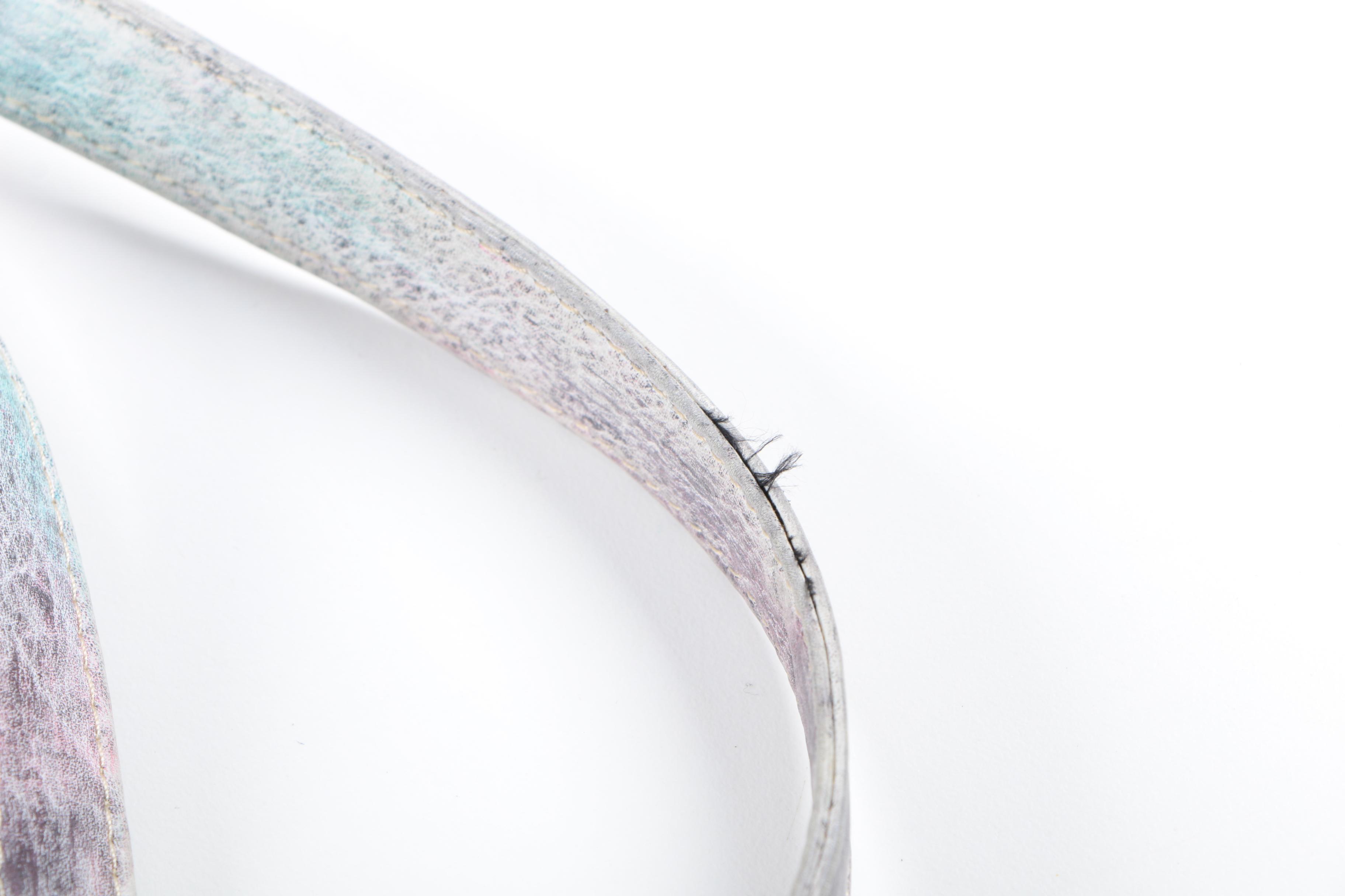 Two Anuschka Hand-Painted Leather Handbags