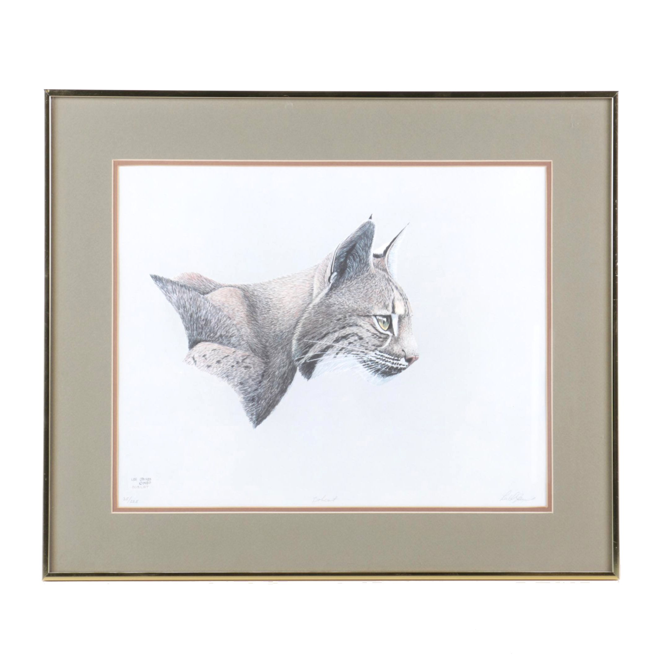 Lee Jayred Limited Edition Offset Lithograph "Bobcat"